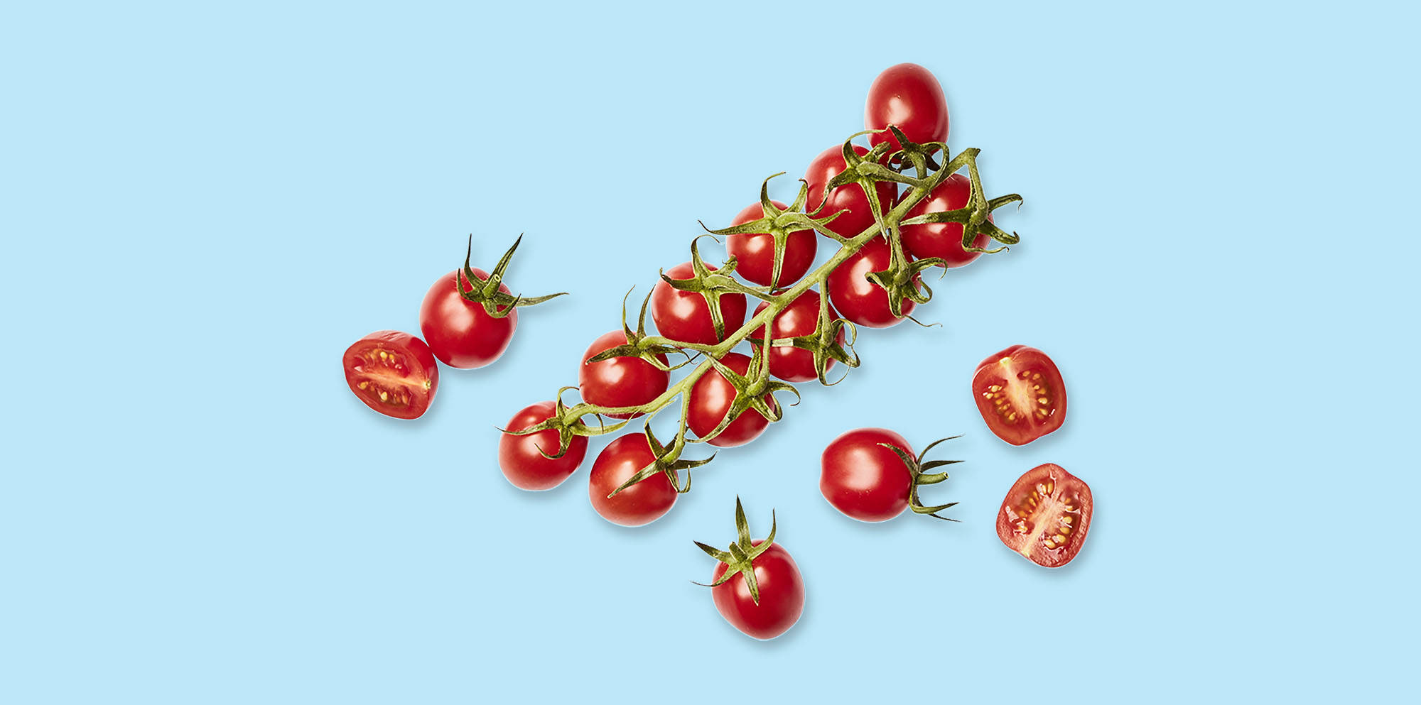 Frische Kirschtomaten an der Rispe vor blauem Hintergrund