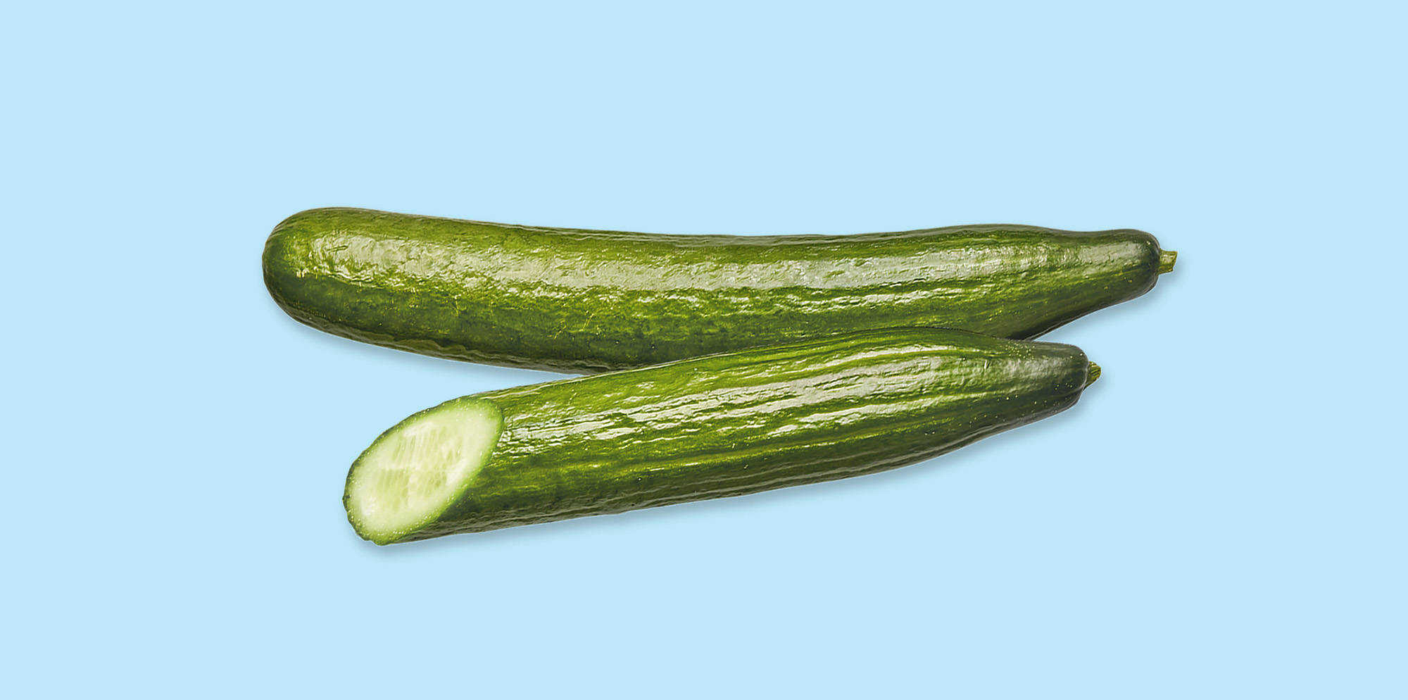 Zwei frische Gurken auf hellblauem Hintergrund.