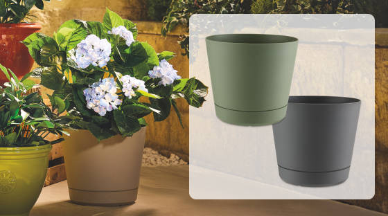 Self-watering Planter Image