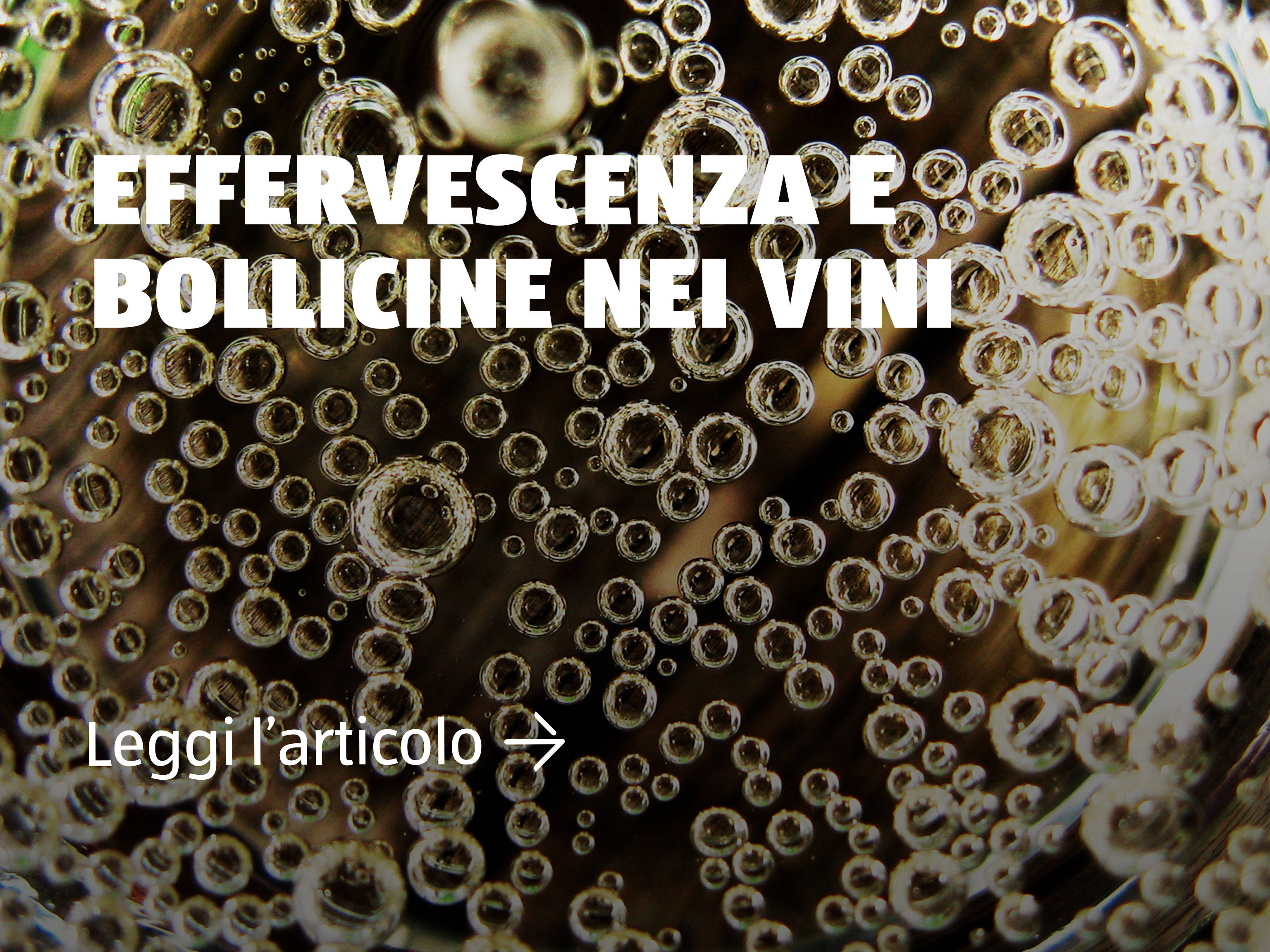 Effervescenza e bollicine nei vini