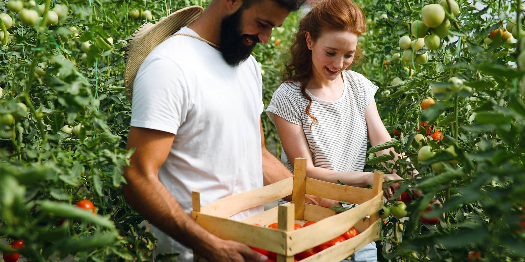 Različno sadje in zelenjava v ozadju, napis: Zagotavljamo trajnostne izdelke po HOFER CENI.