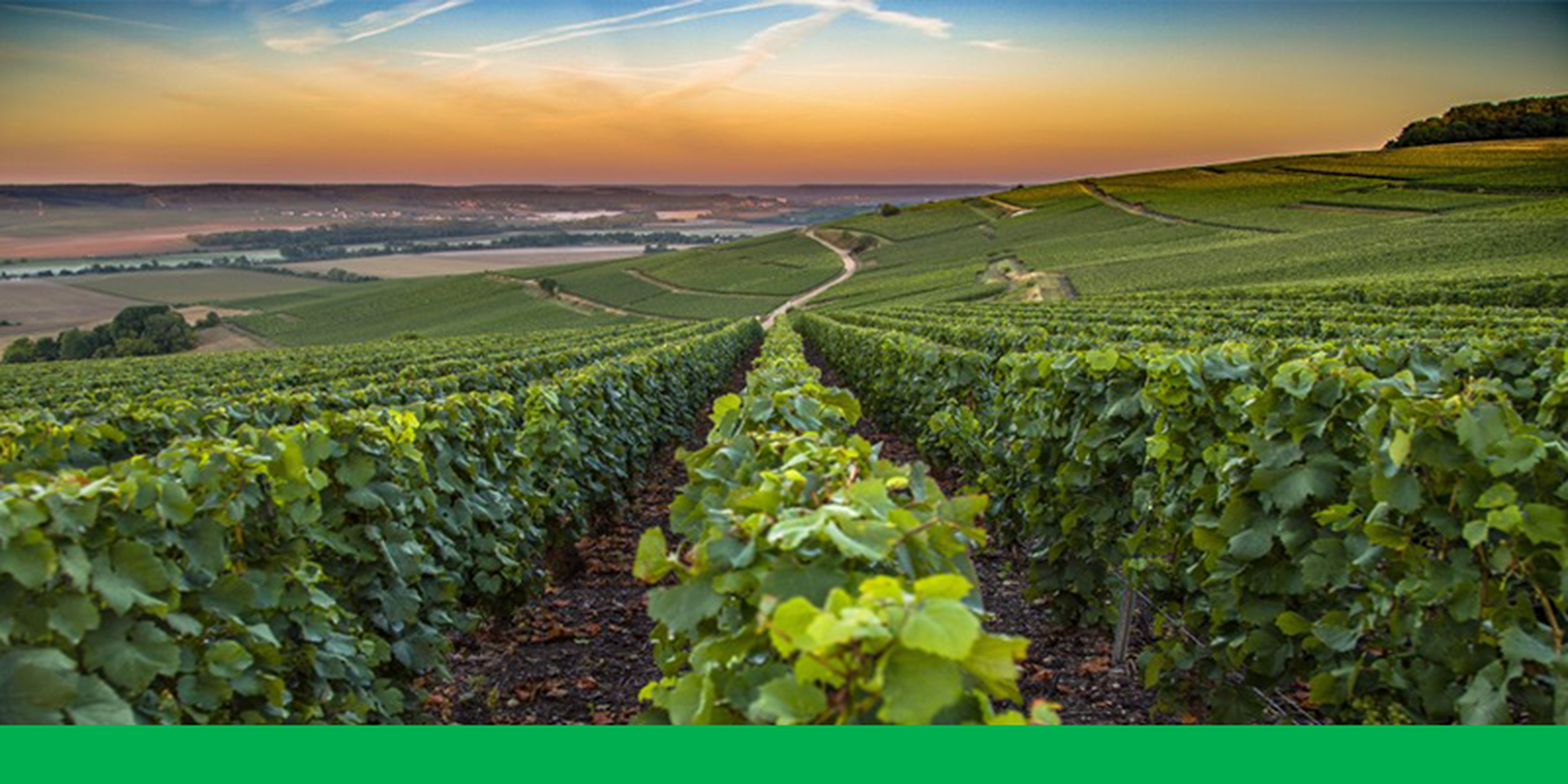CLIMA, AGRICOLTURA E PRODOTTI SOSTENIBILI
