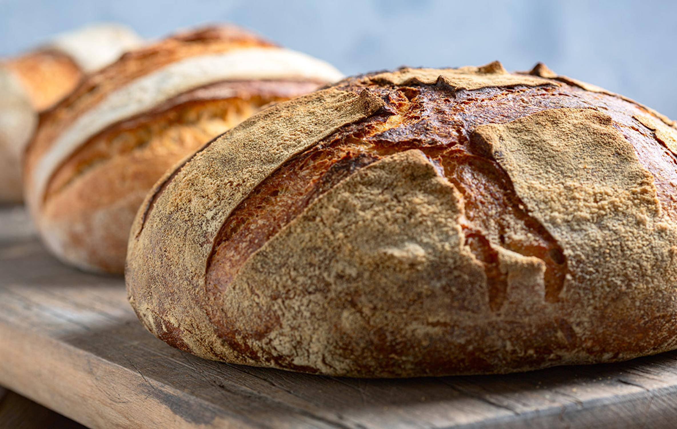 Pane di grano duro