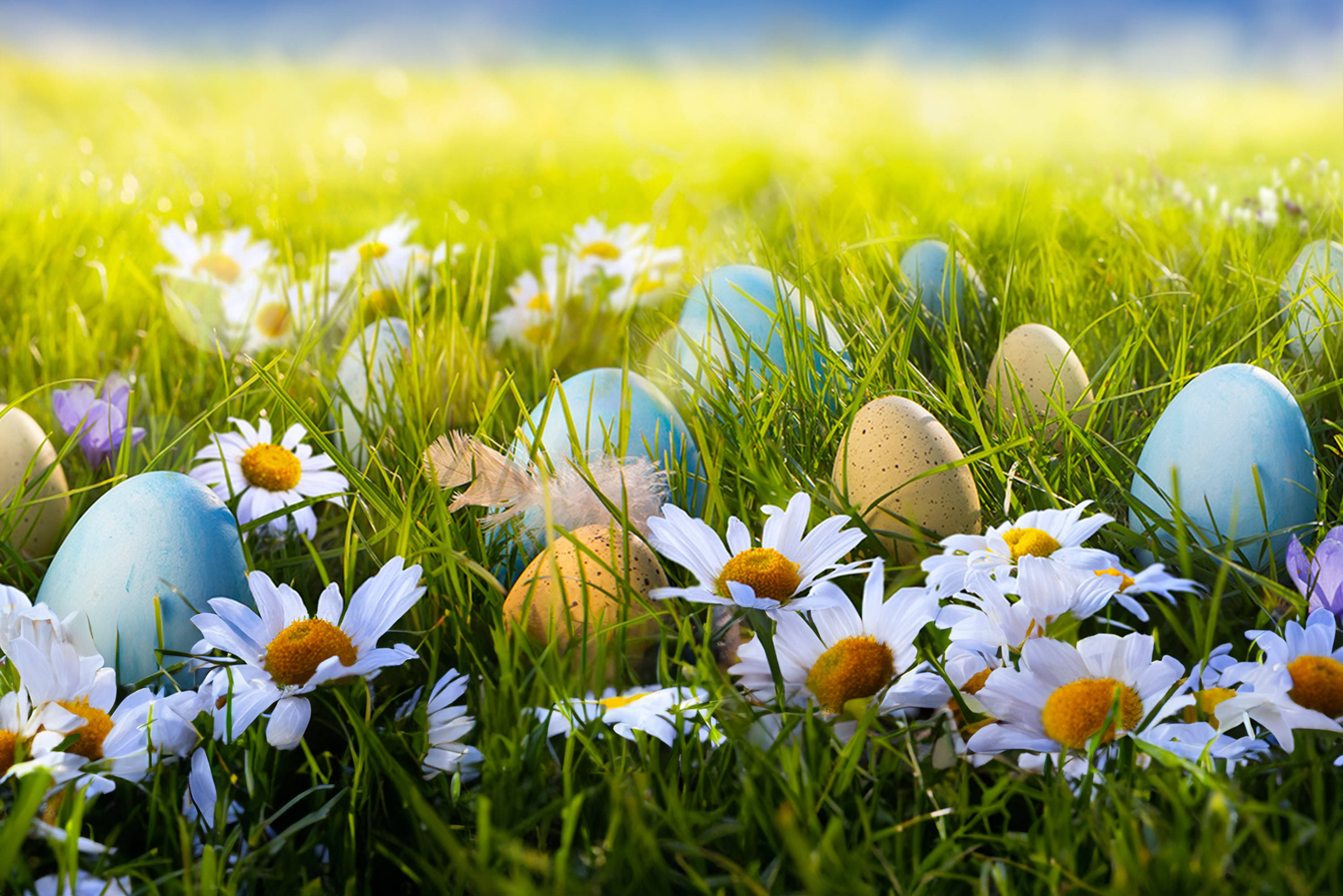 La Pasqua con ALDI
