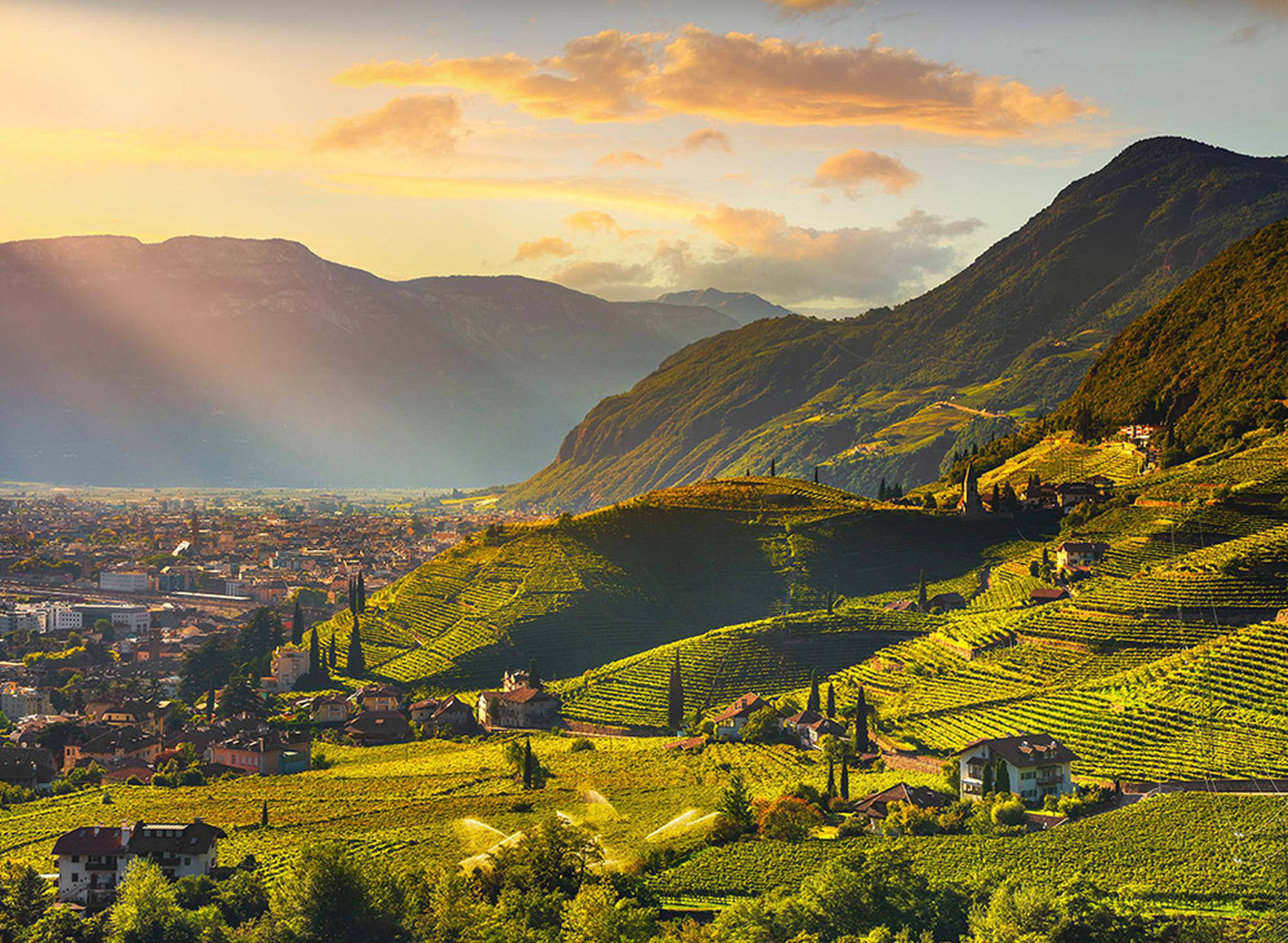 Zona di produzione Lagrein