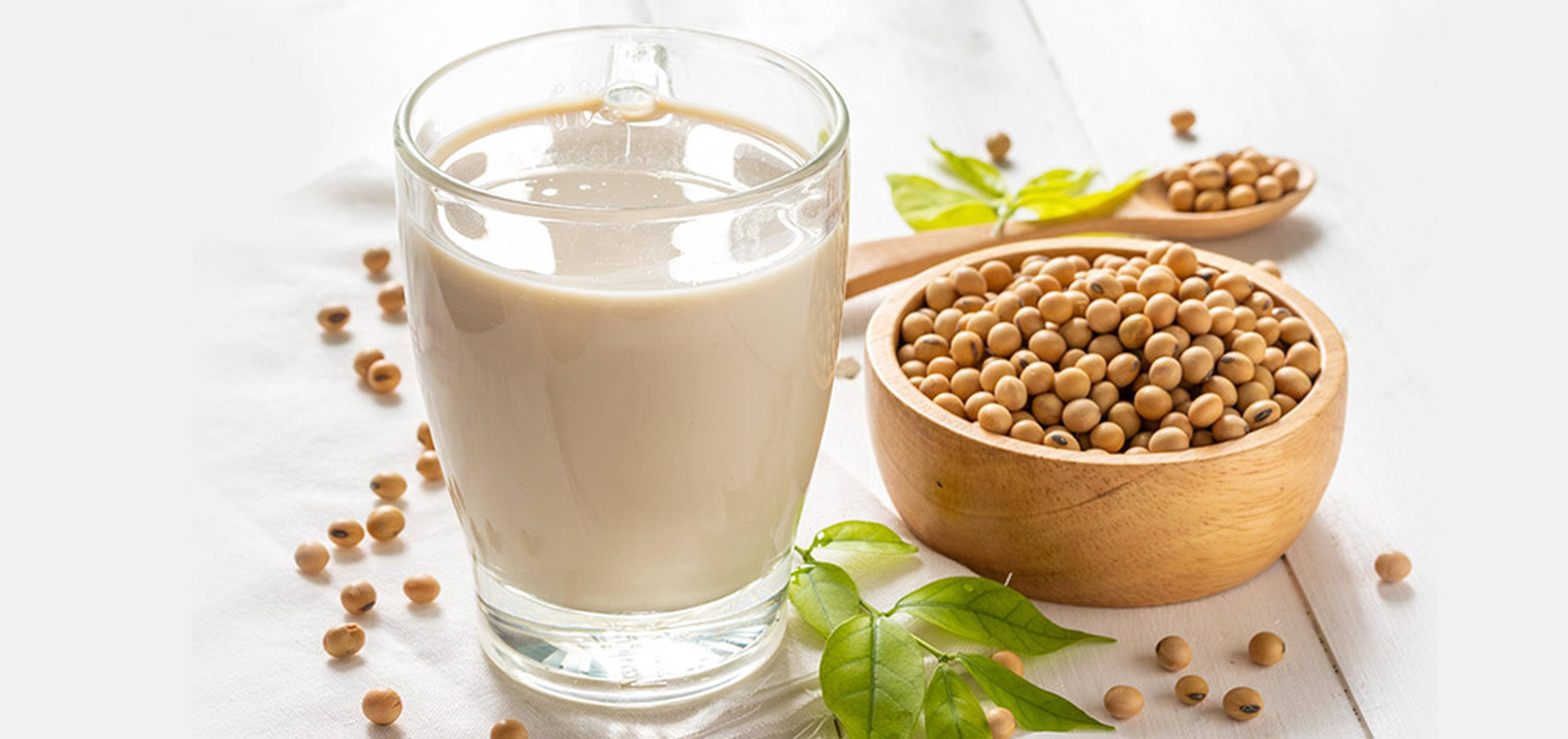 Latte di soia