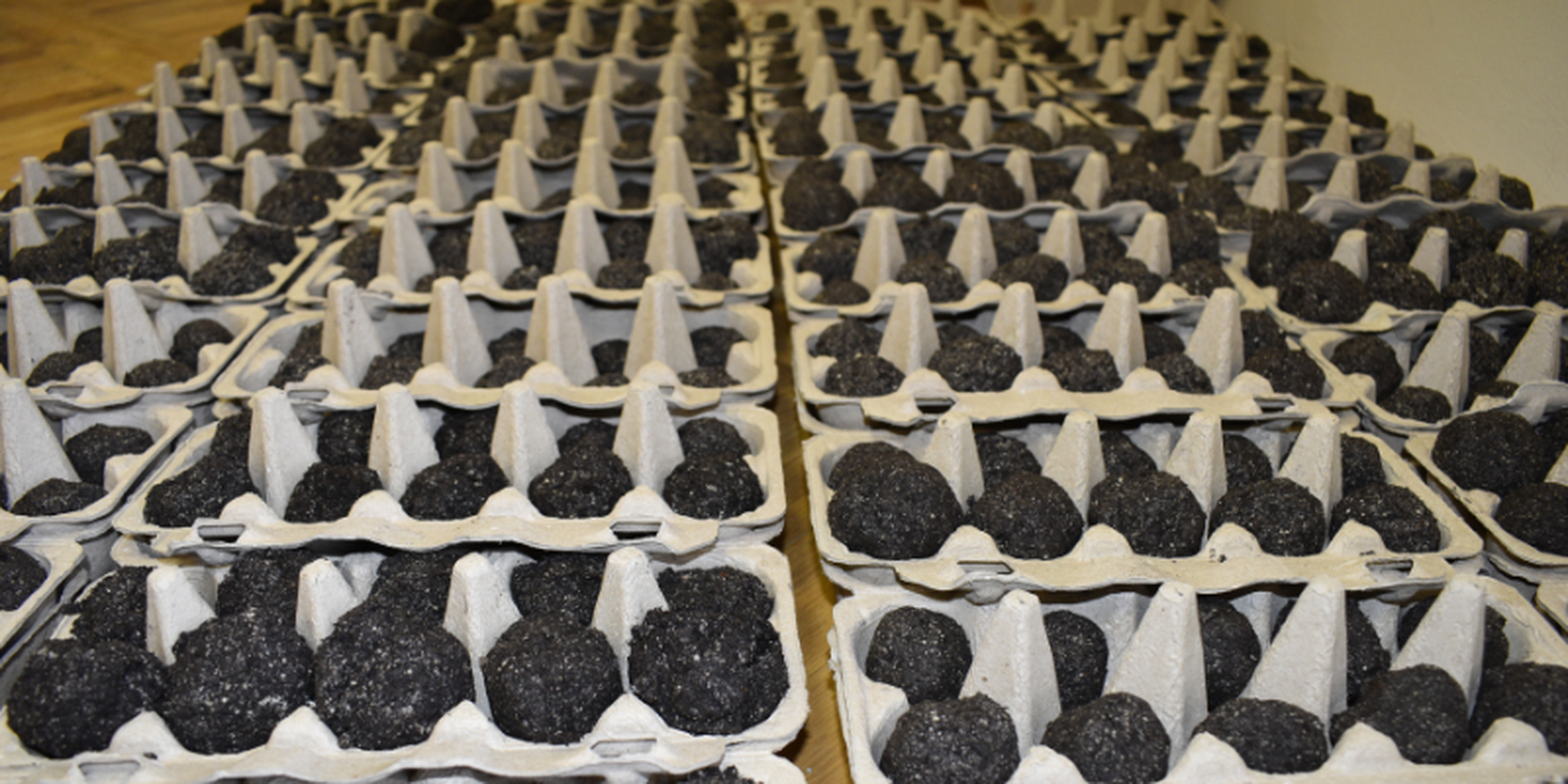 Paketi za obeležitev Dneva sajenja medovitih rastlin