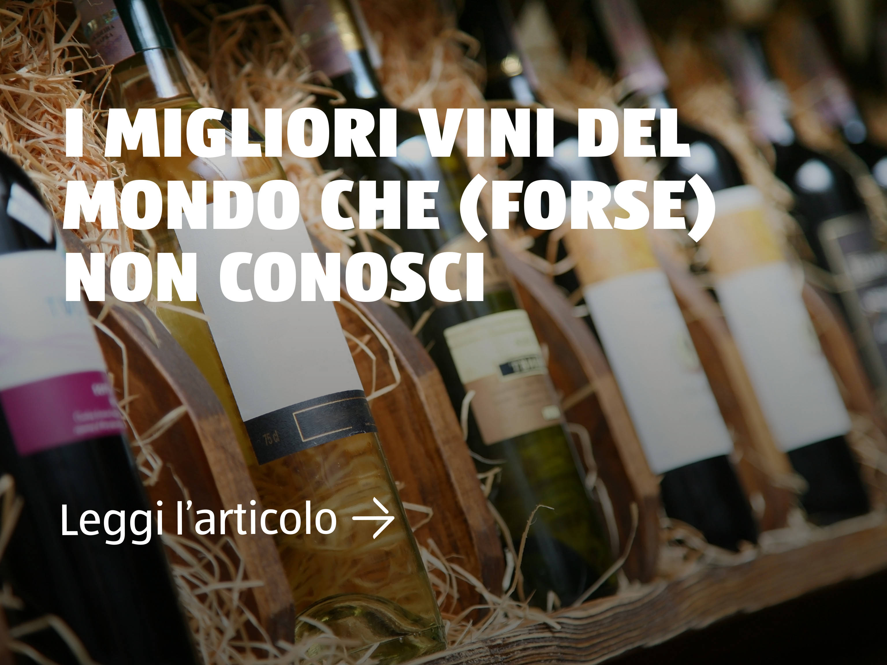 I migliori vini del mondo