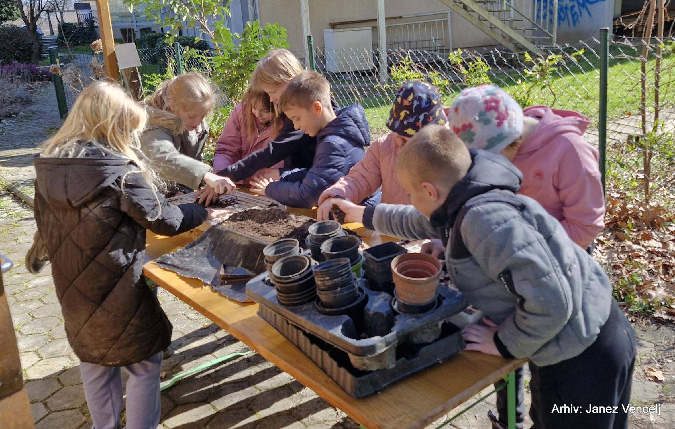 Otroci sadijo medovite rastline