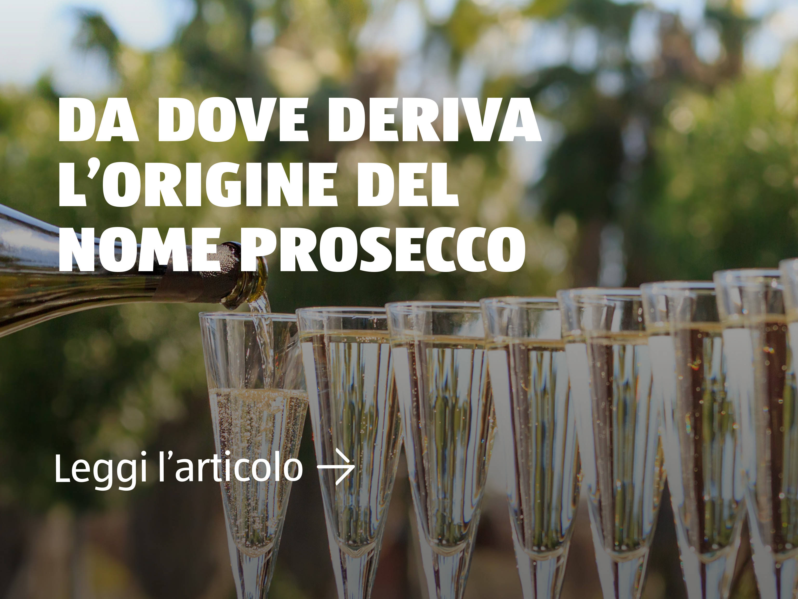 Da dove deriva il nome Prosecco