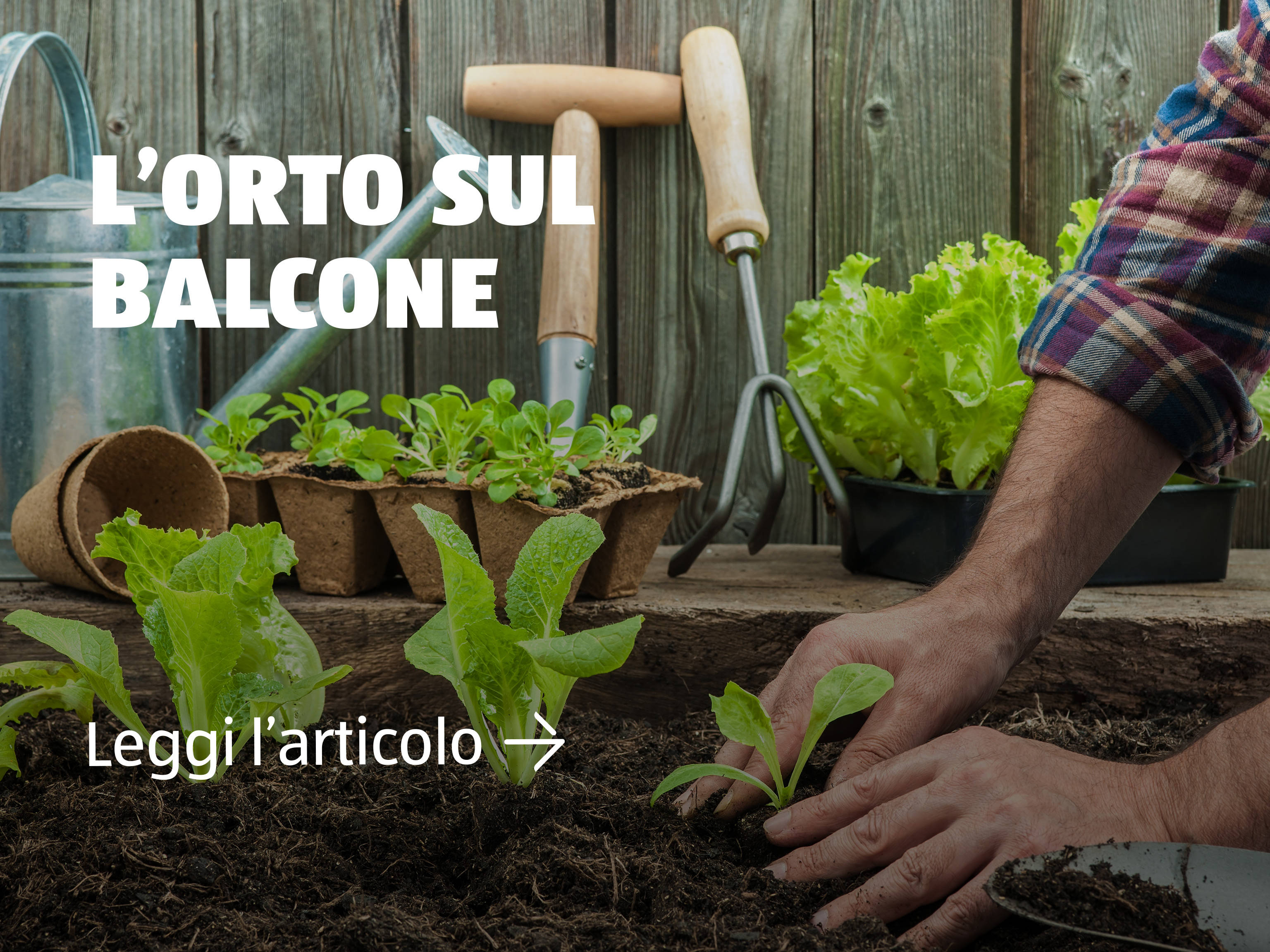 L'orto sul balcone