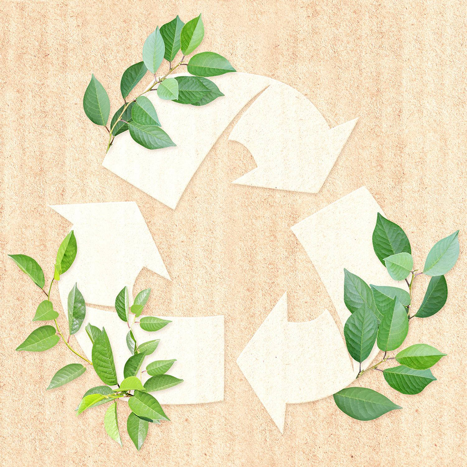 Packaging riciclabile