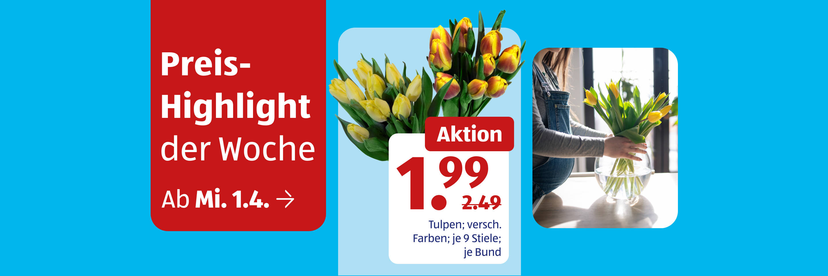 Tulpen Preis-Highlight.