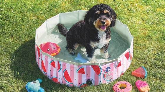 Collapsible Pet Pool link 
