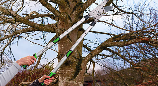Heavy duty loppers image