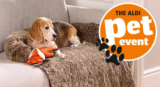 Confy sofa pet overlay image