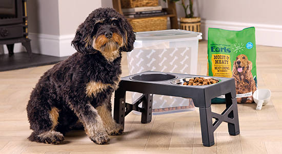 Adjustable dog bowl image