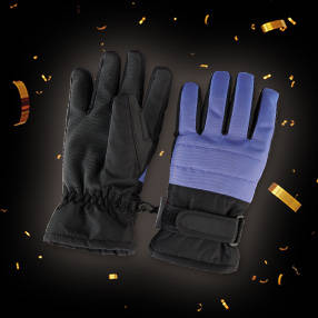 Ski gloves image
