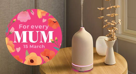 Ceramic Aroma Diffuser product Image