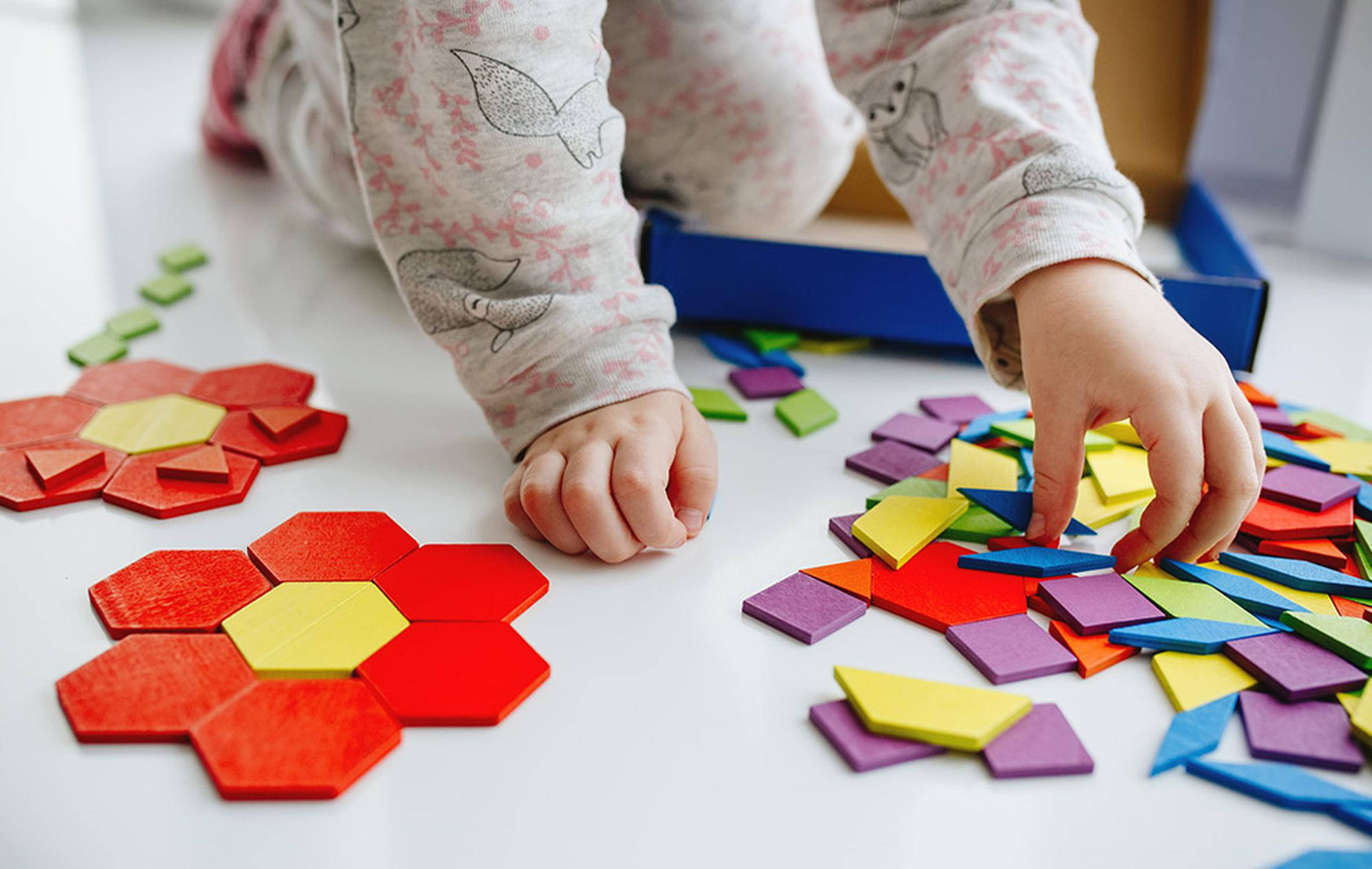 Tangram casalingo