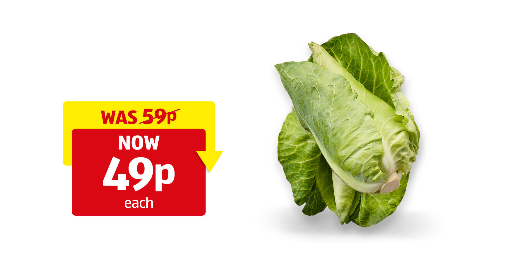 Image of Sweetheart Cabbage