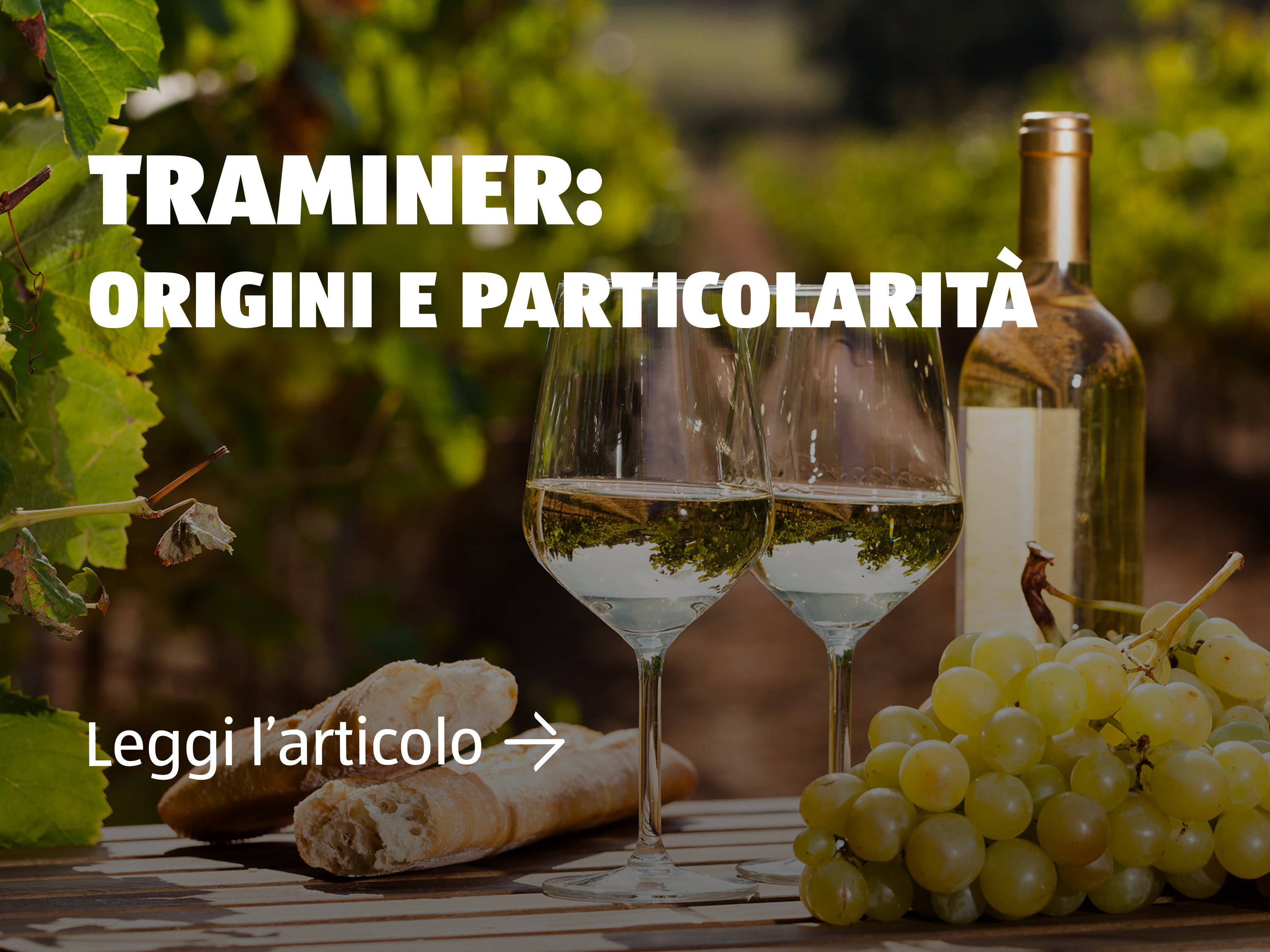 Traminer