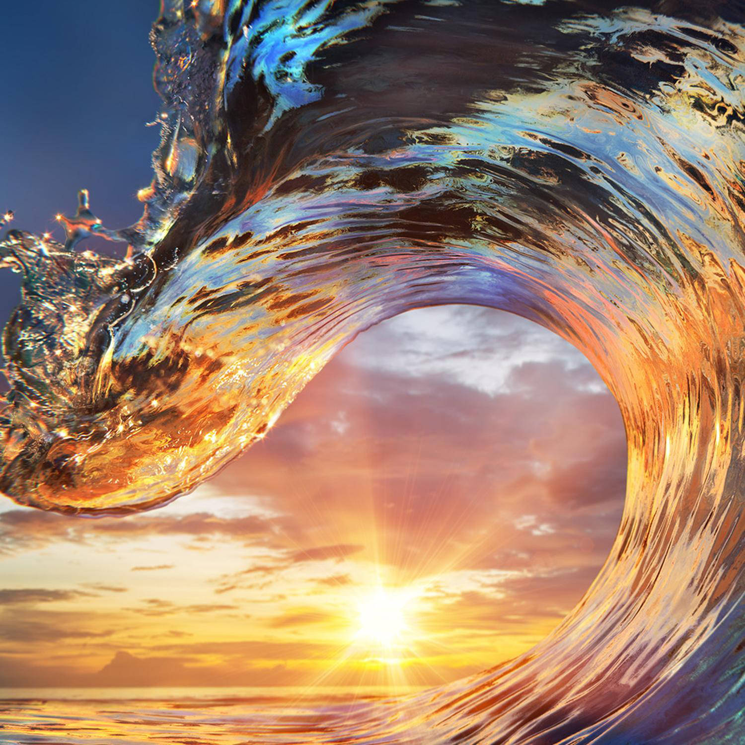 Tutela degli oceani