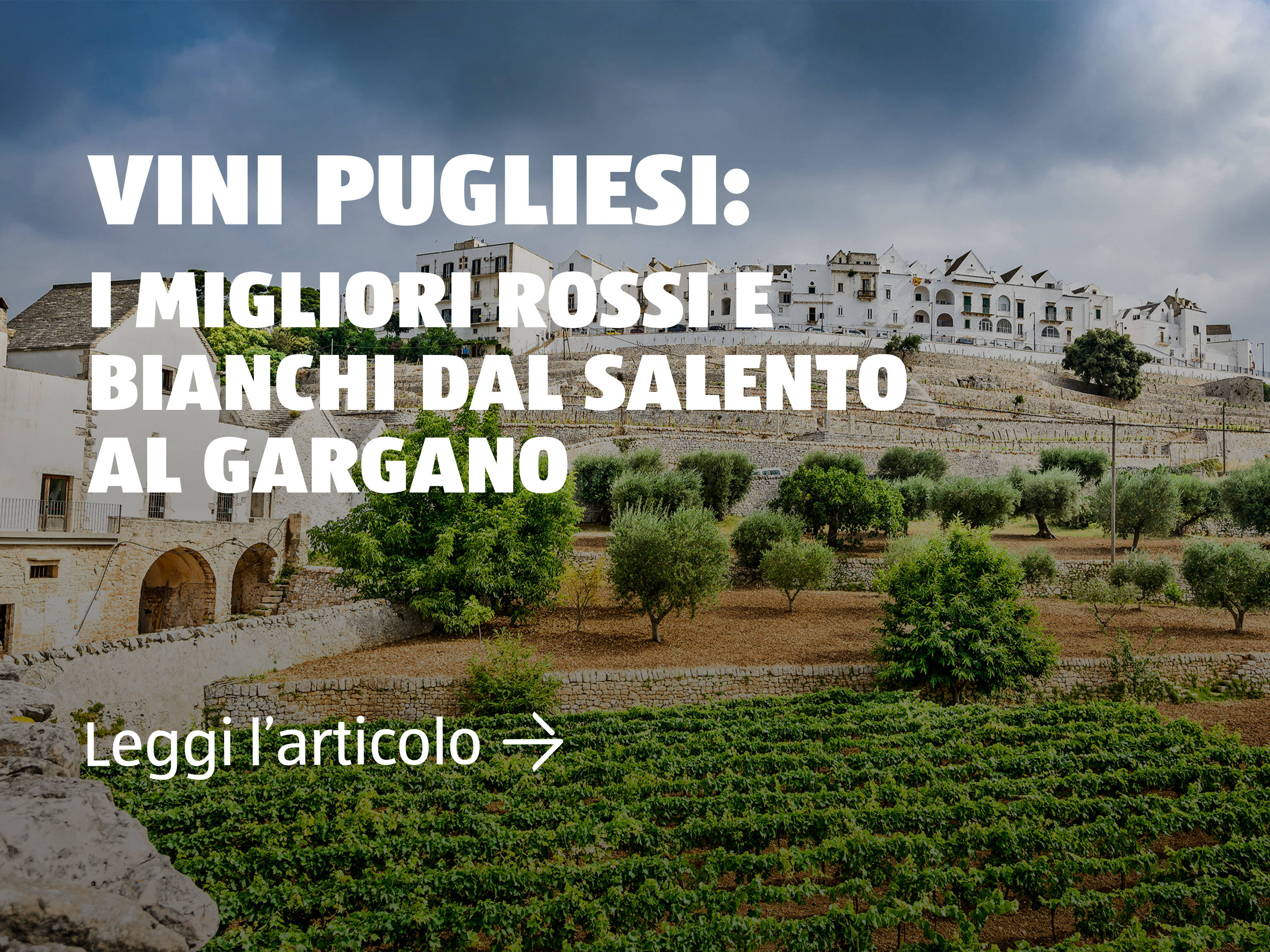 Vini pugliesi
