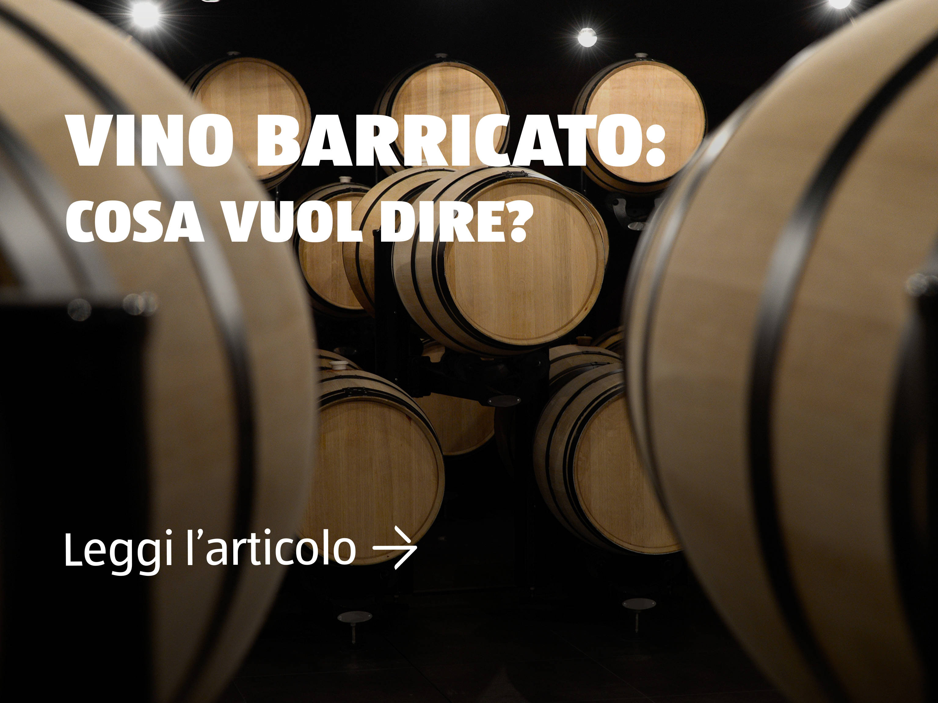 Vino barricato