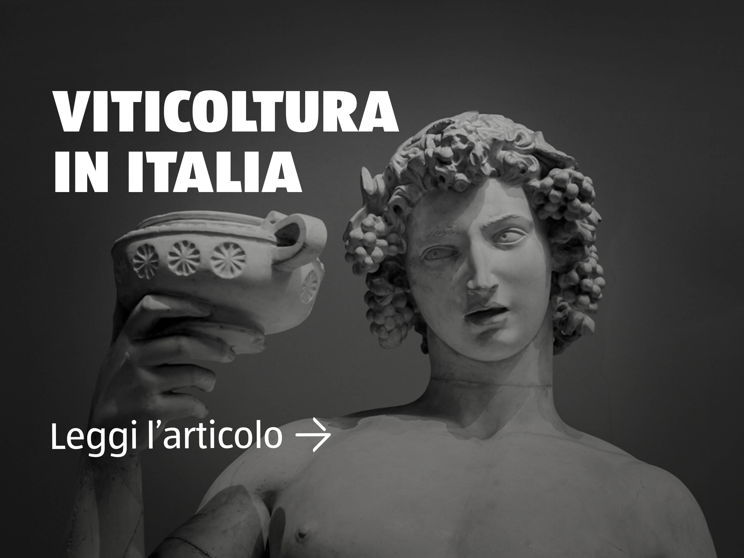 Viticoltura in Italia