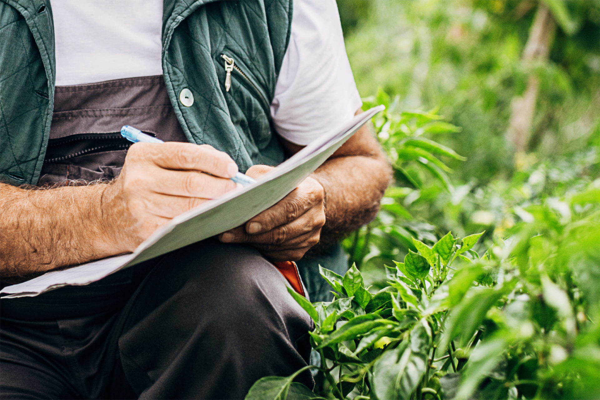 Ein Mann sitzt im Grünen und schreibt in ein Heft.