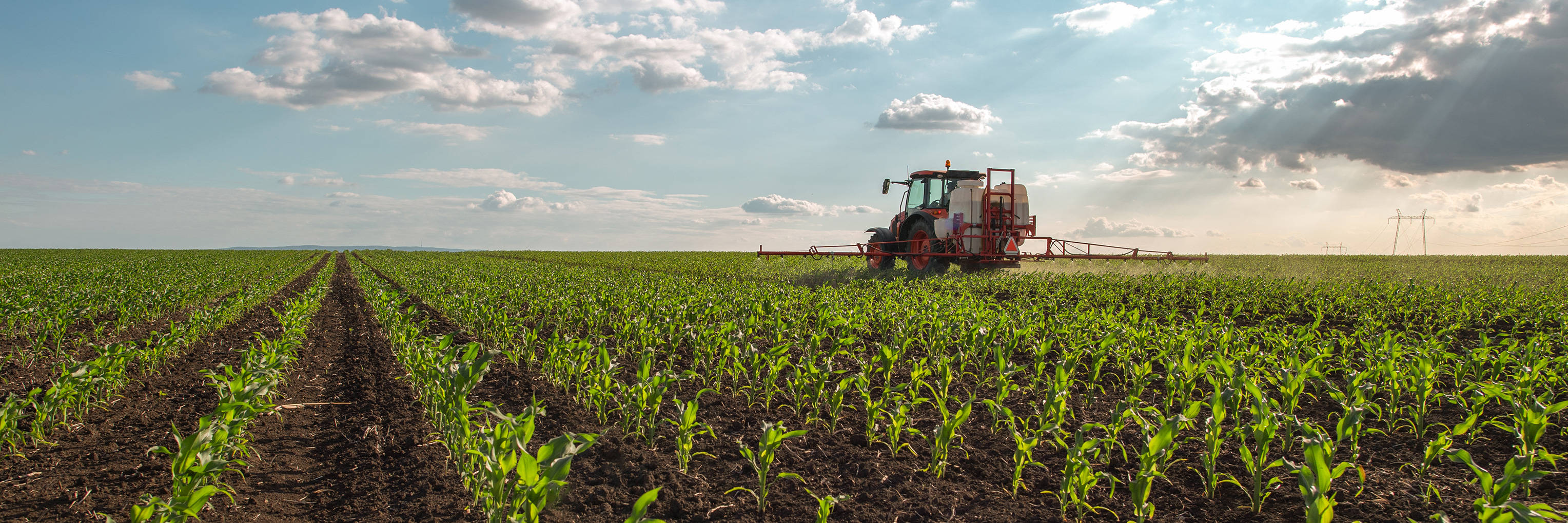 Traktor düngt ein Feld.