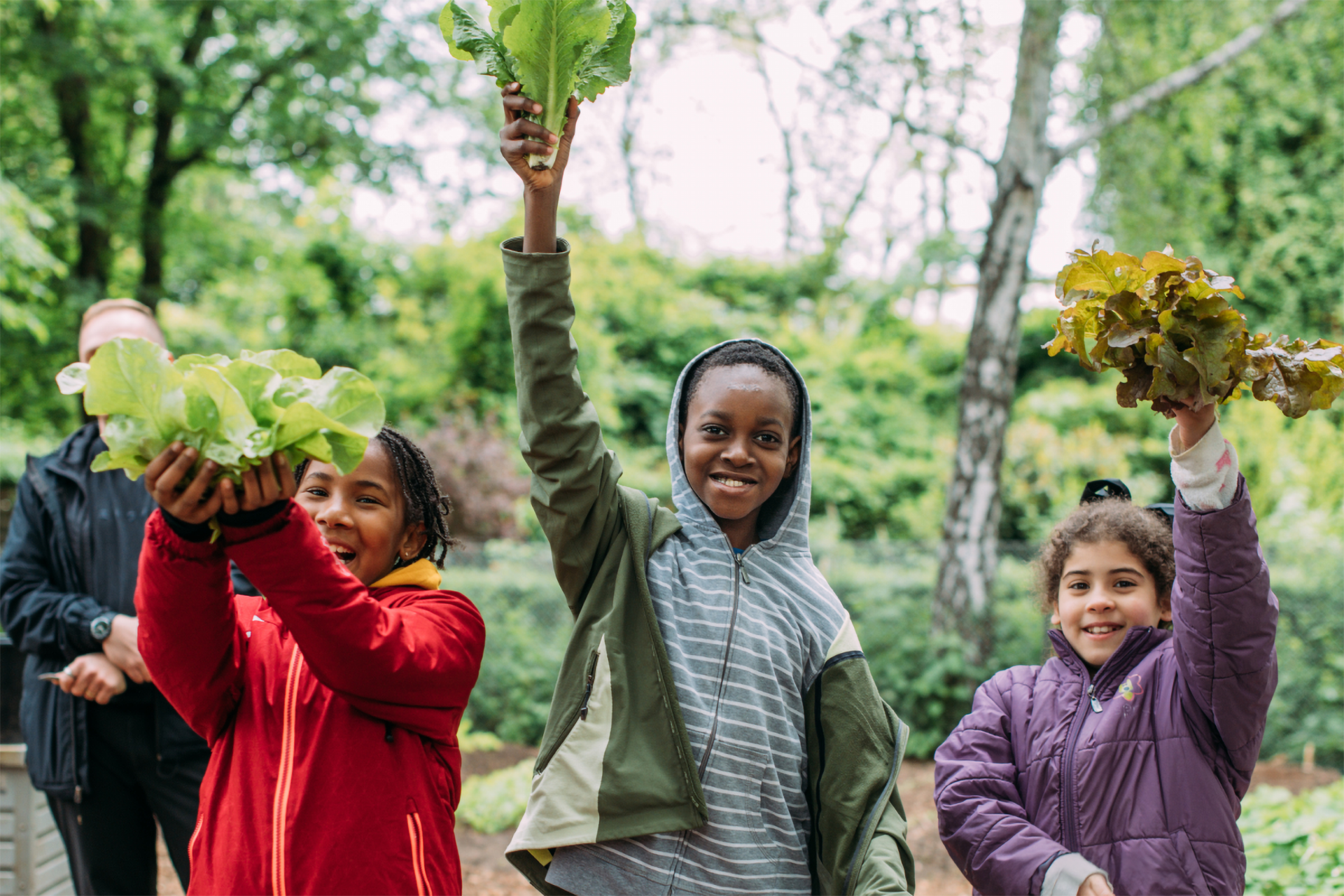 Eine Gruppe von Kindern hält freudig selbstgeerntete Salatköpfe in die Luft.