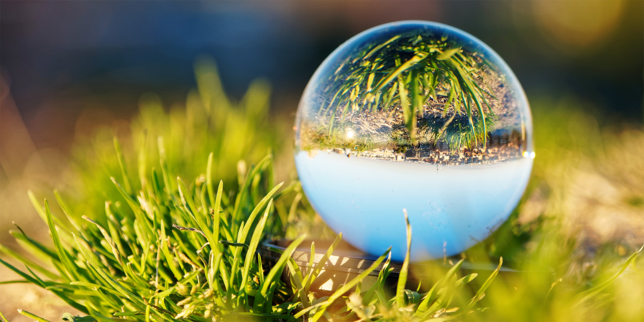 Eine Glaskugel liegt im grünen Gras und zeigt eine auf dem Kopf stehende Spiegelung von Landschaft und Himmel.