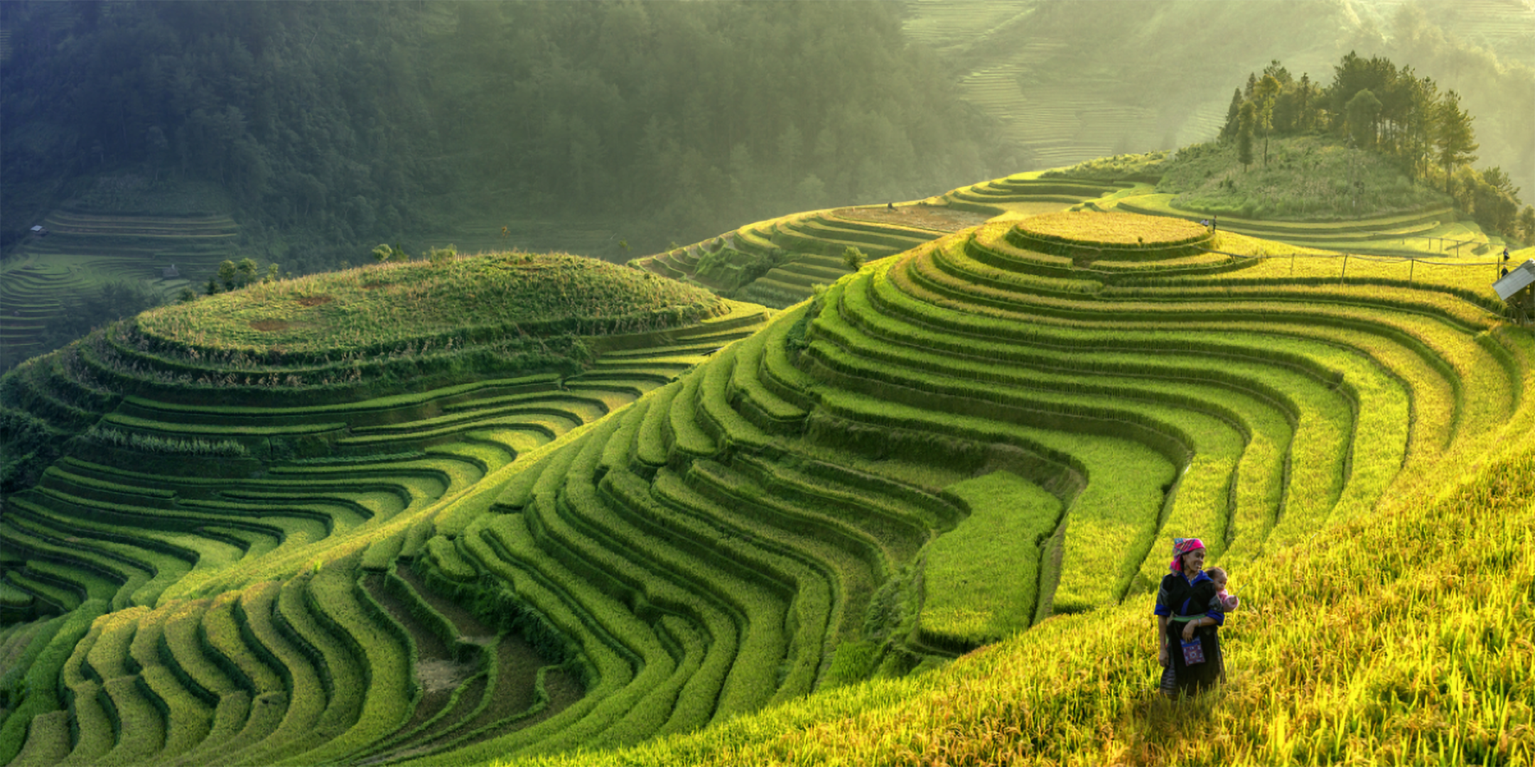 Terrassierte Reisfelder bei Sonnenaufgang mit einer Person in traditioneller Kleidung.