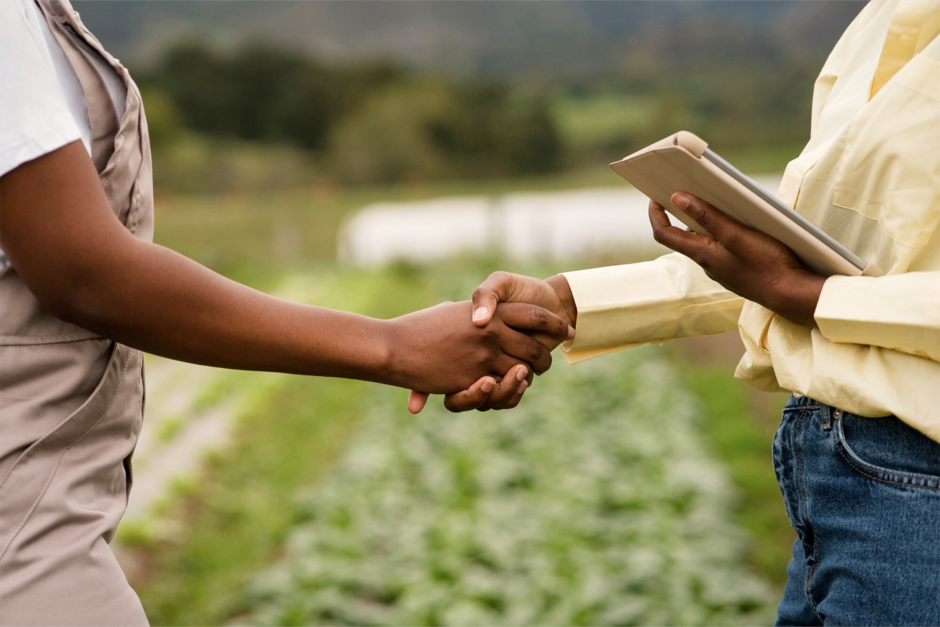 Zwei Personen schütteln sich die Hand auf einem Feld. Eine Person hält ein Tablet.