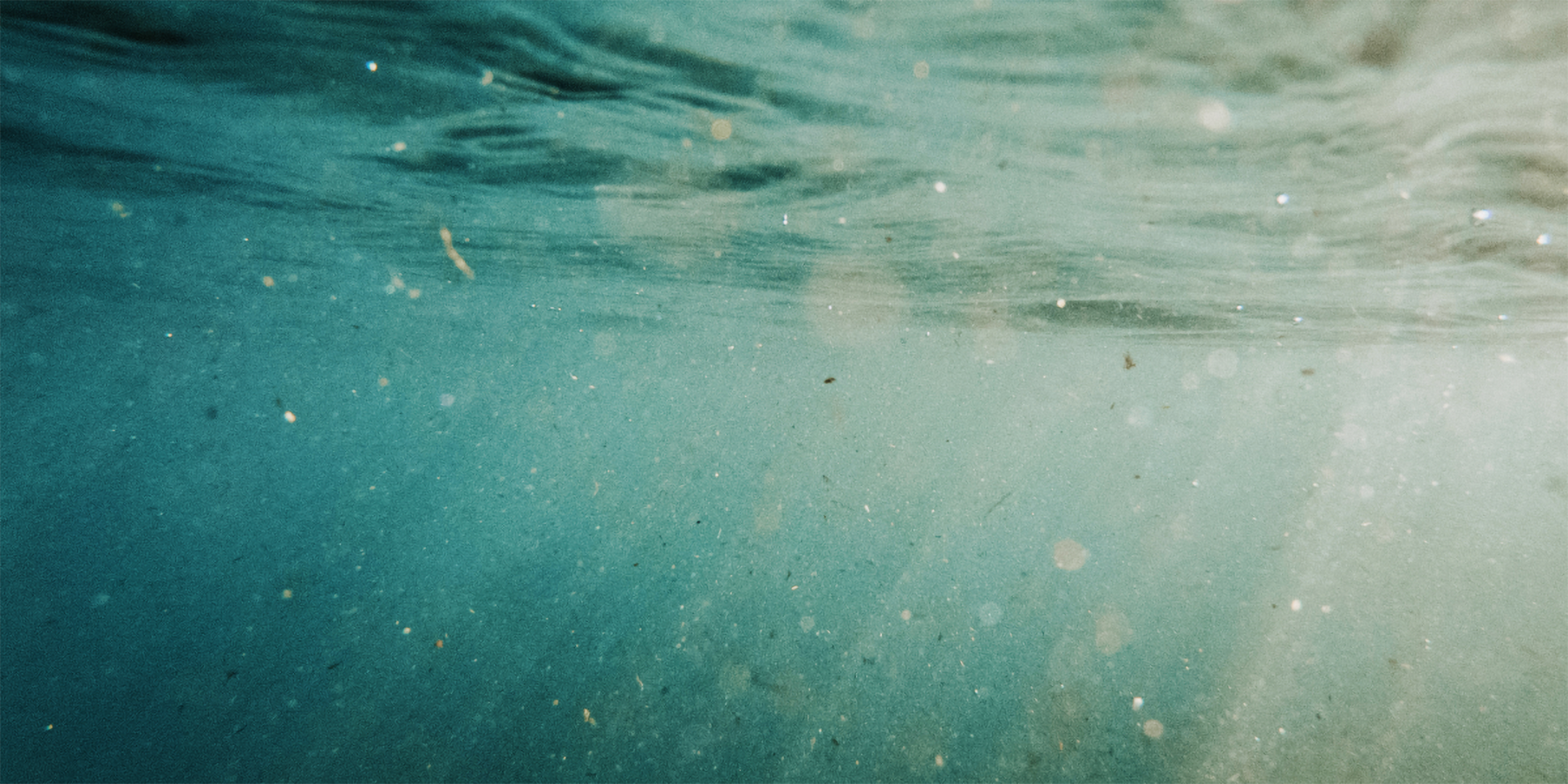 Plastikpartikel treiben im Meer.