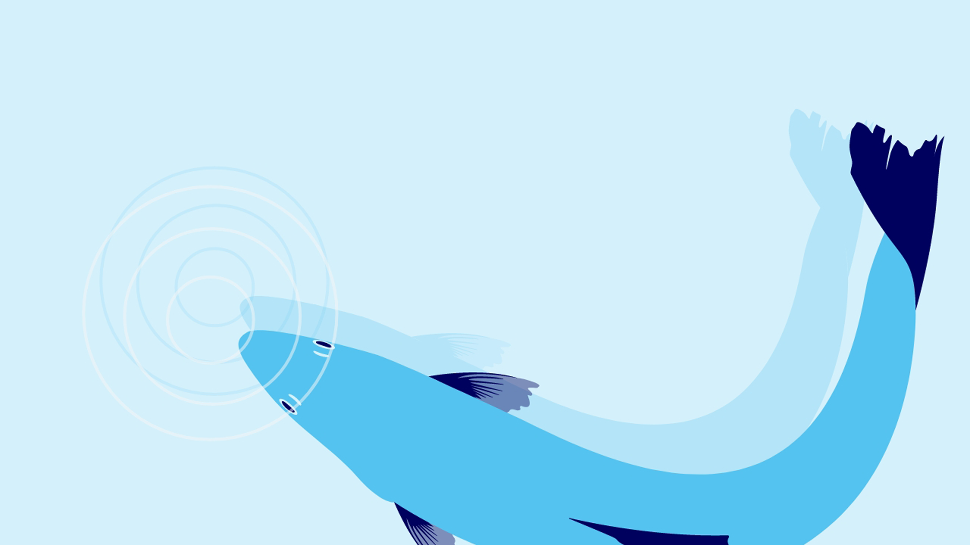 Illustration von einem Fisch.