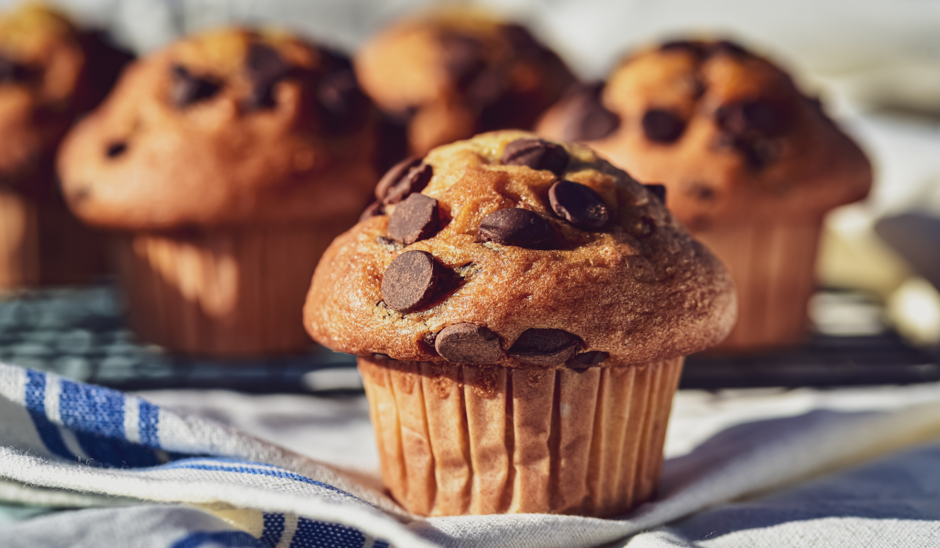 Schokostückchen-Muffin im Vordergrund