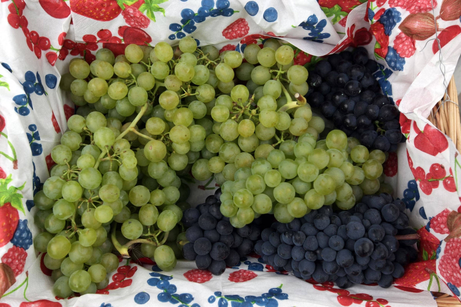 Korb mit grünen und blauen Weintrauben auf einem bedruckten Tuch.