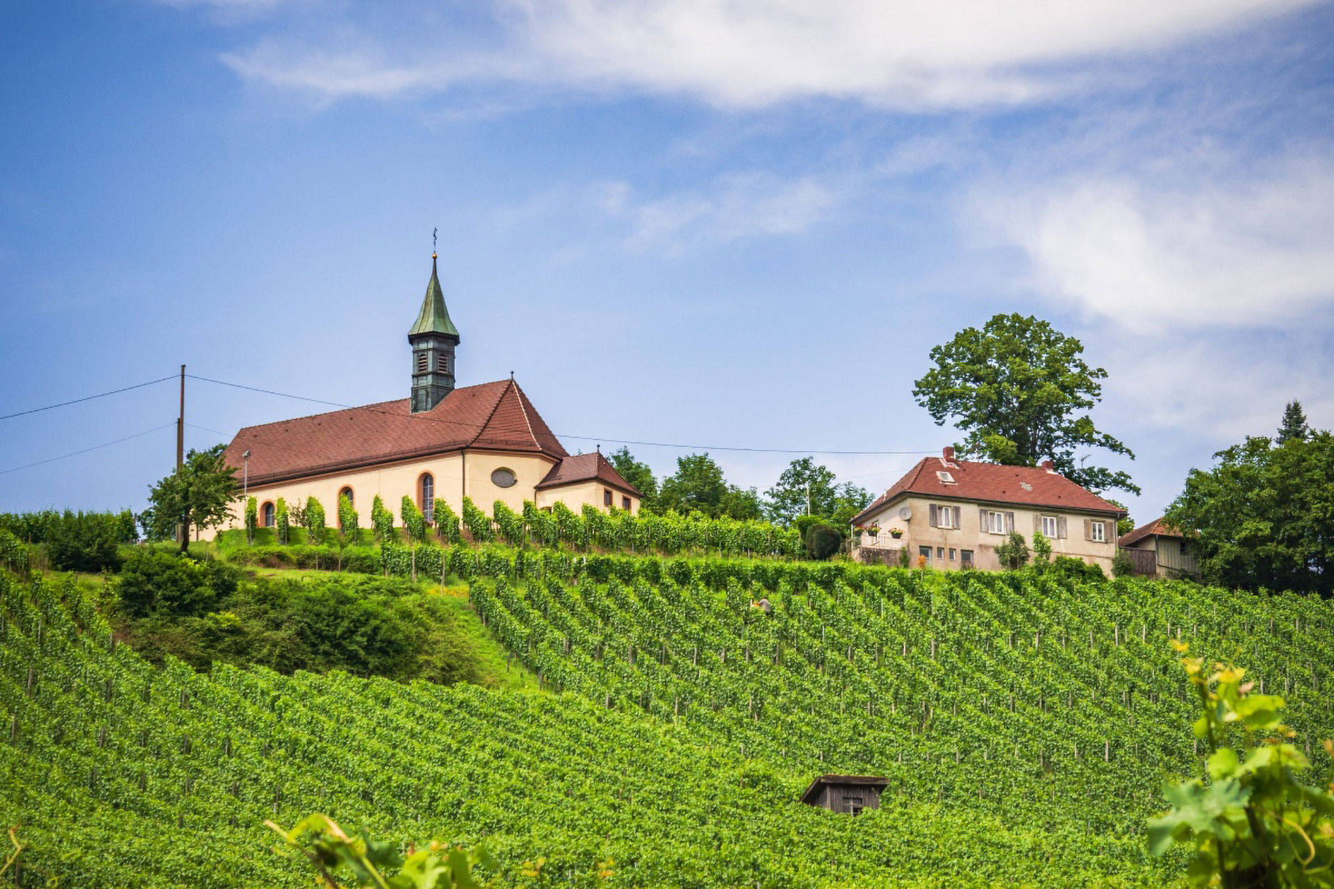 Kirche und Haus auf einem Hügel, umgeben Weinbergen unter blauem Himmel.