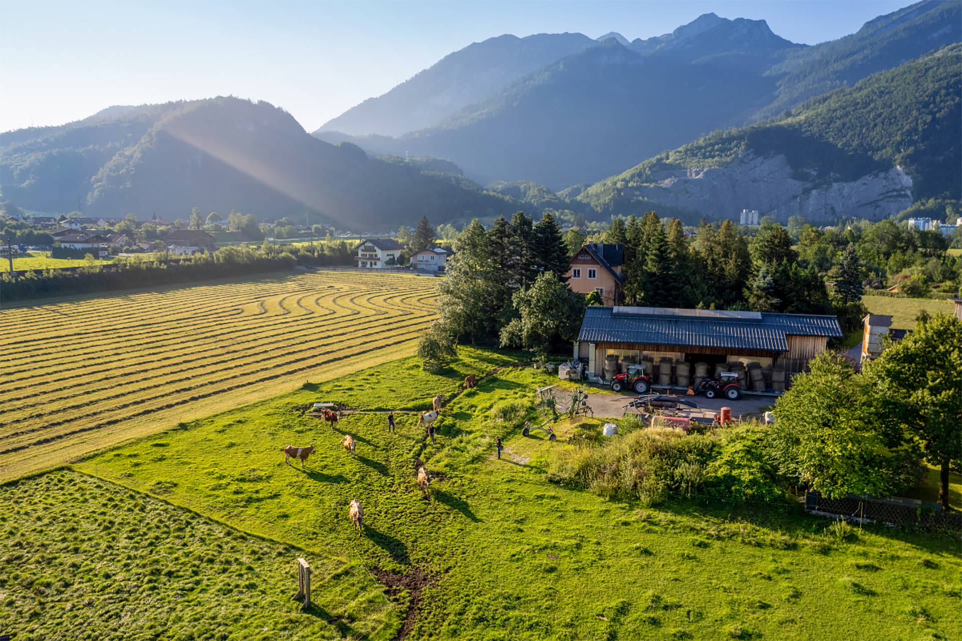 Hof Stieglerbauer und Umgebung