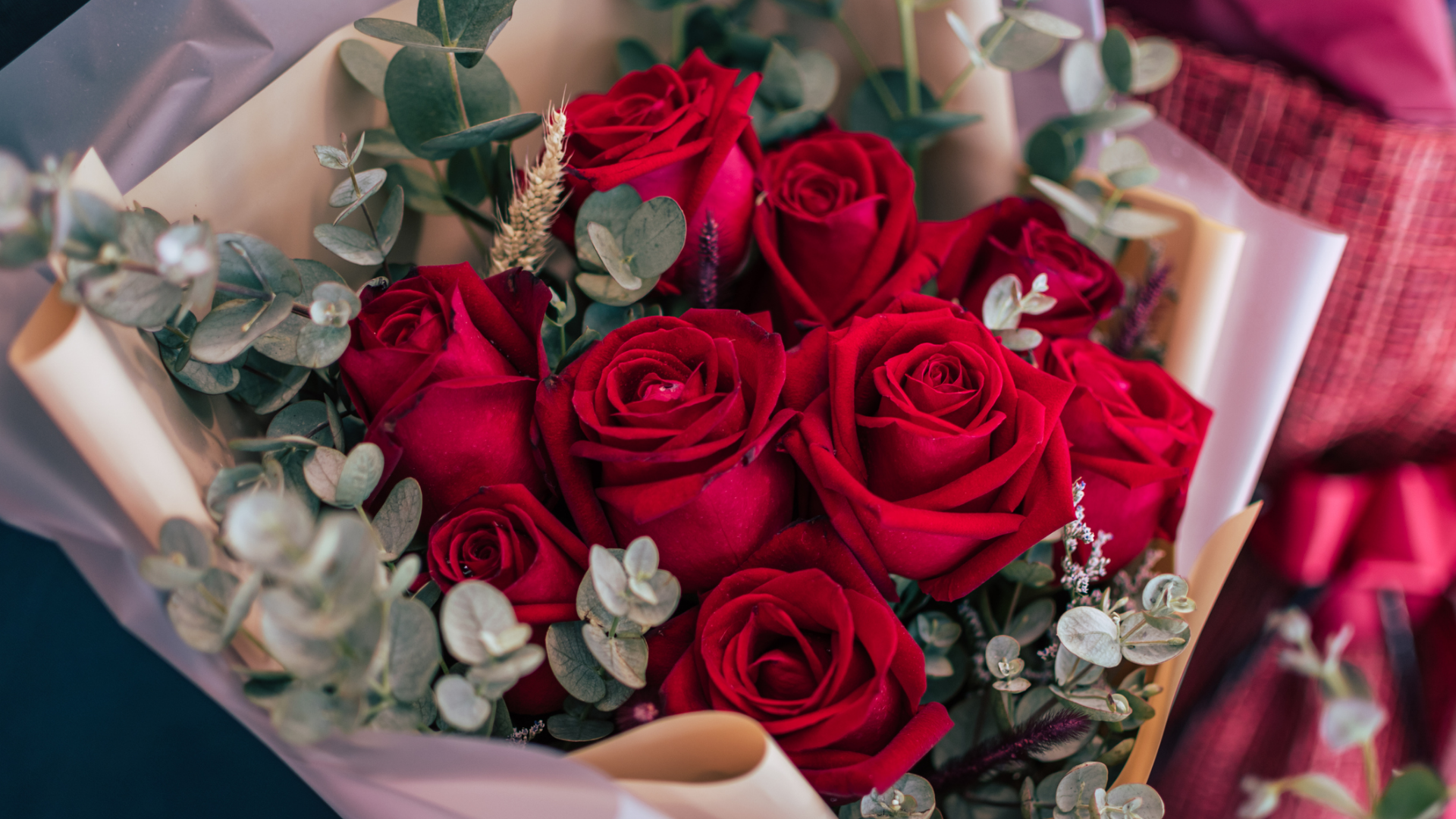 Strauß roter Rosen mit Eukalyptus und Papierhülle.