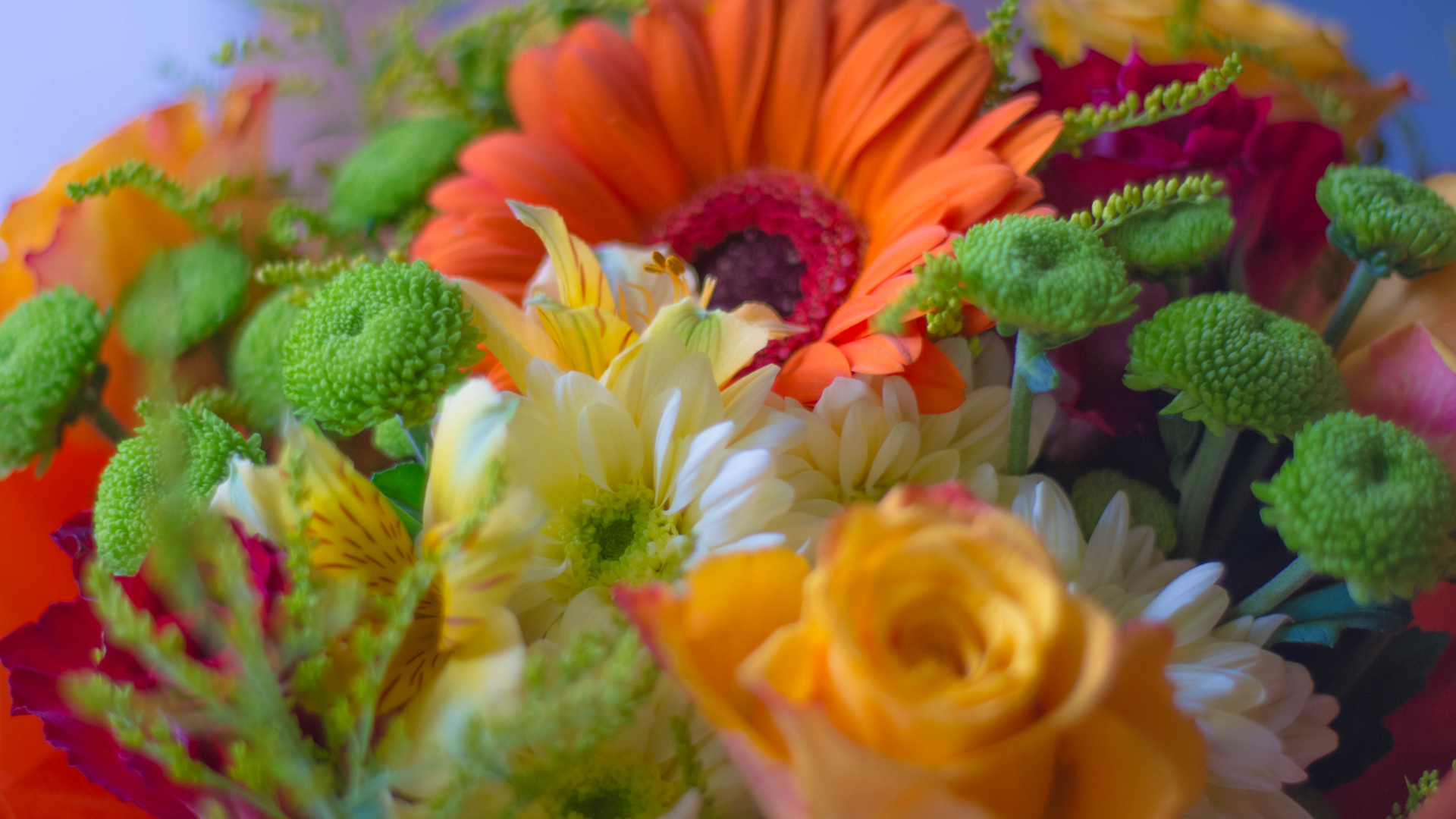 Nahaufnahme eines bunten Blumenstraußes.