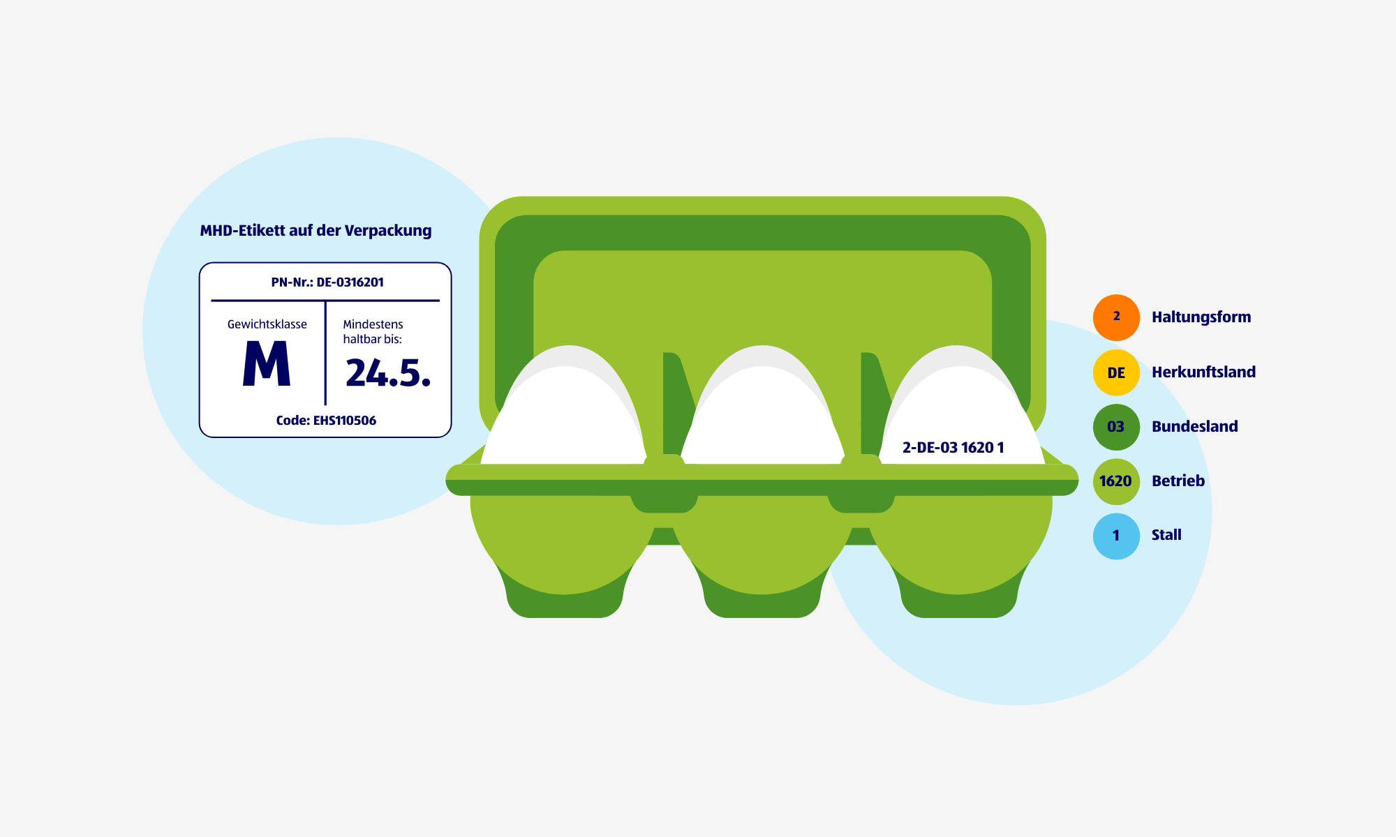 Grafik von einem offenen Eier Karton und der Erklärung wie das MHD zu lesen ist.