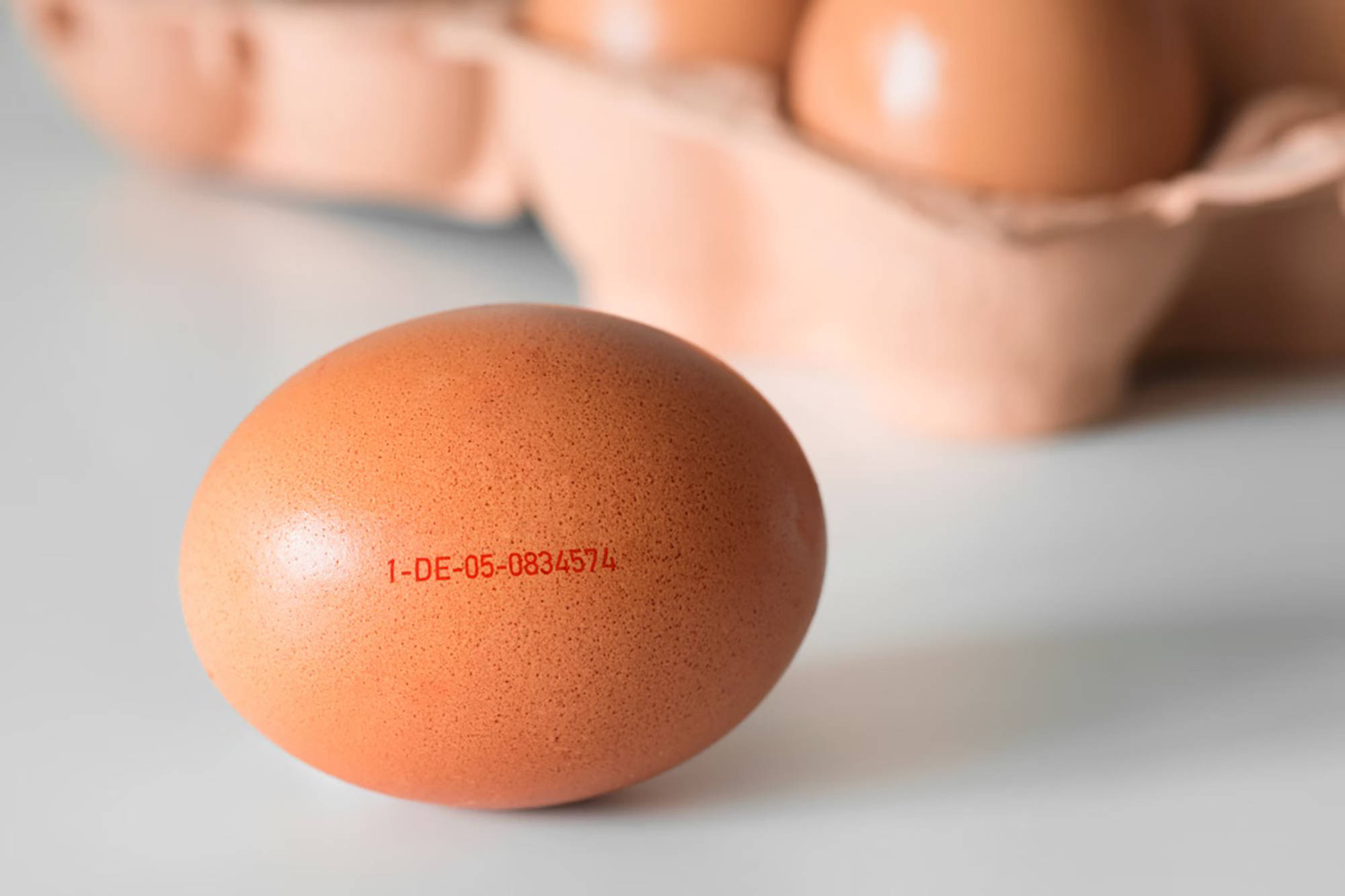 Nahaufnahme von einem Ei aus Freilandhaltung mit MHD Stempel, im Hintergrund steht der Eierkarton.