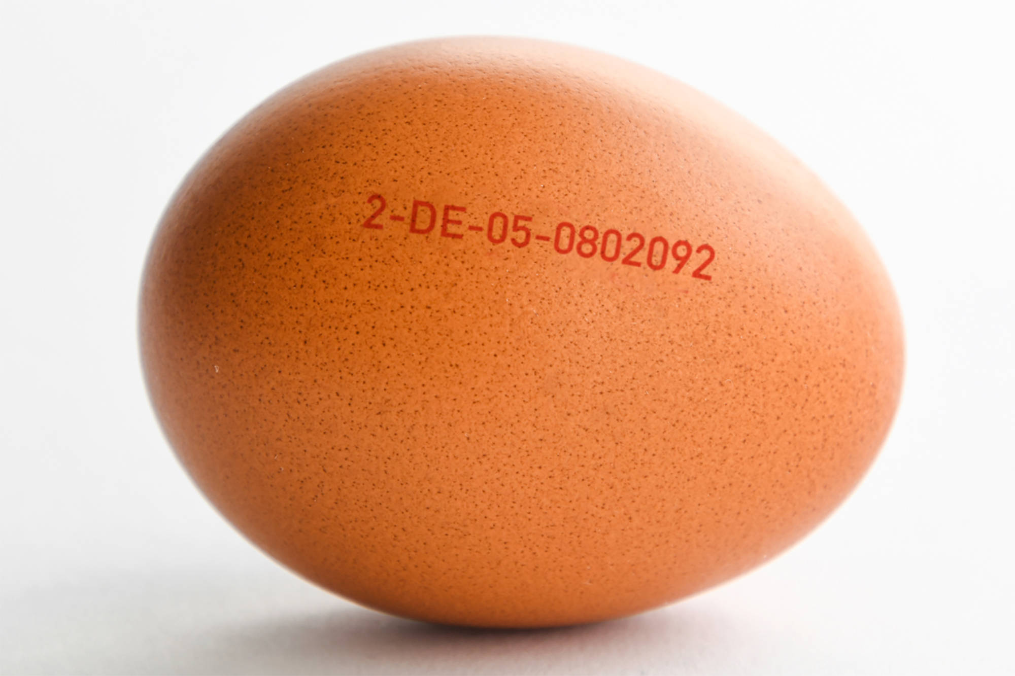 Nahaufnahme von einem Ei aus Bodenhaltung mit MHD Stempel.