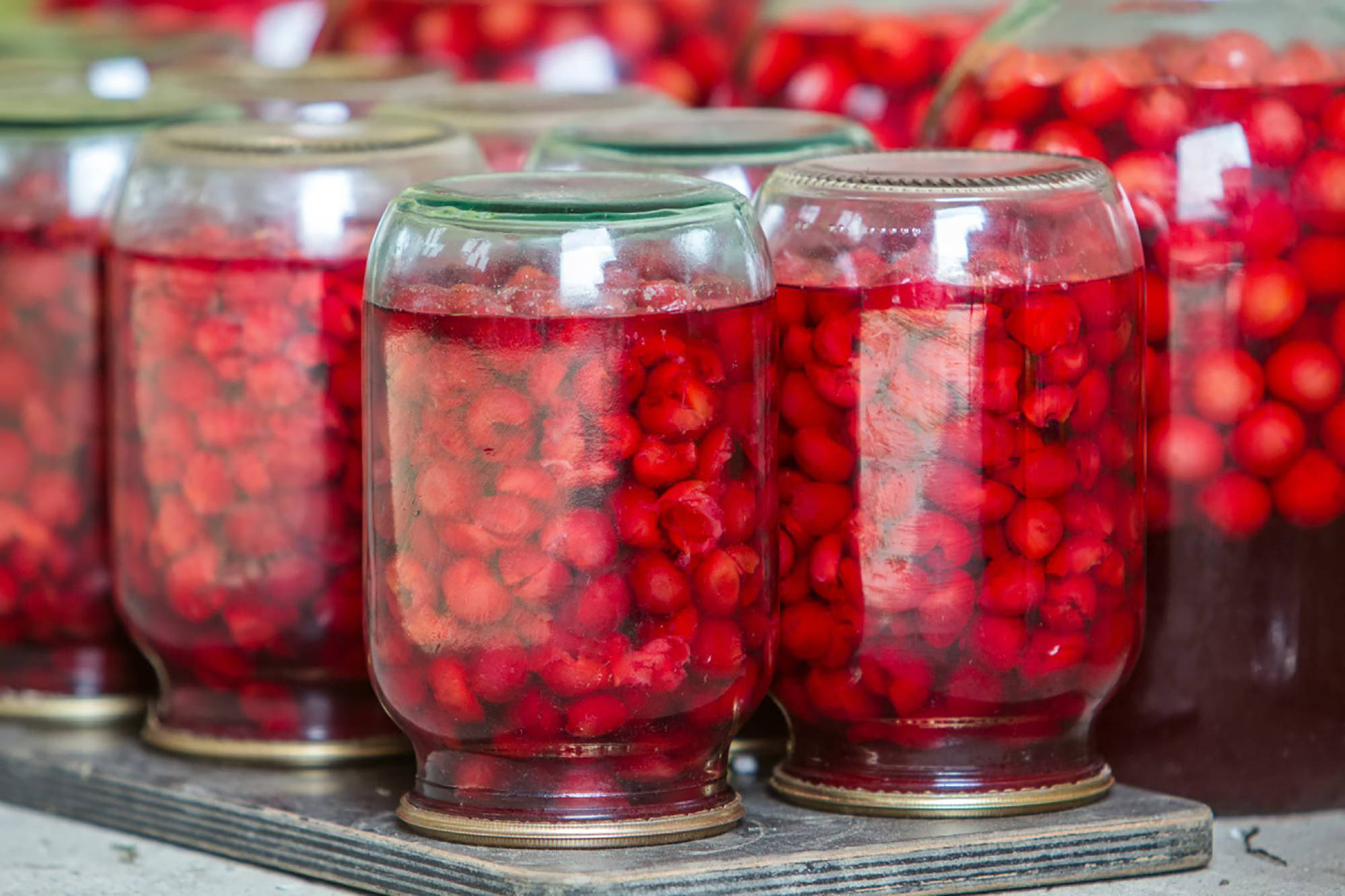 Mehrere Gläser mit eingemachten Kirschen stehen nach dem Einkochen im Ofen kopfüber zum Abkühlen.