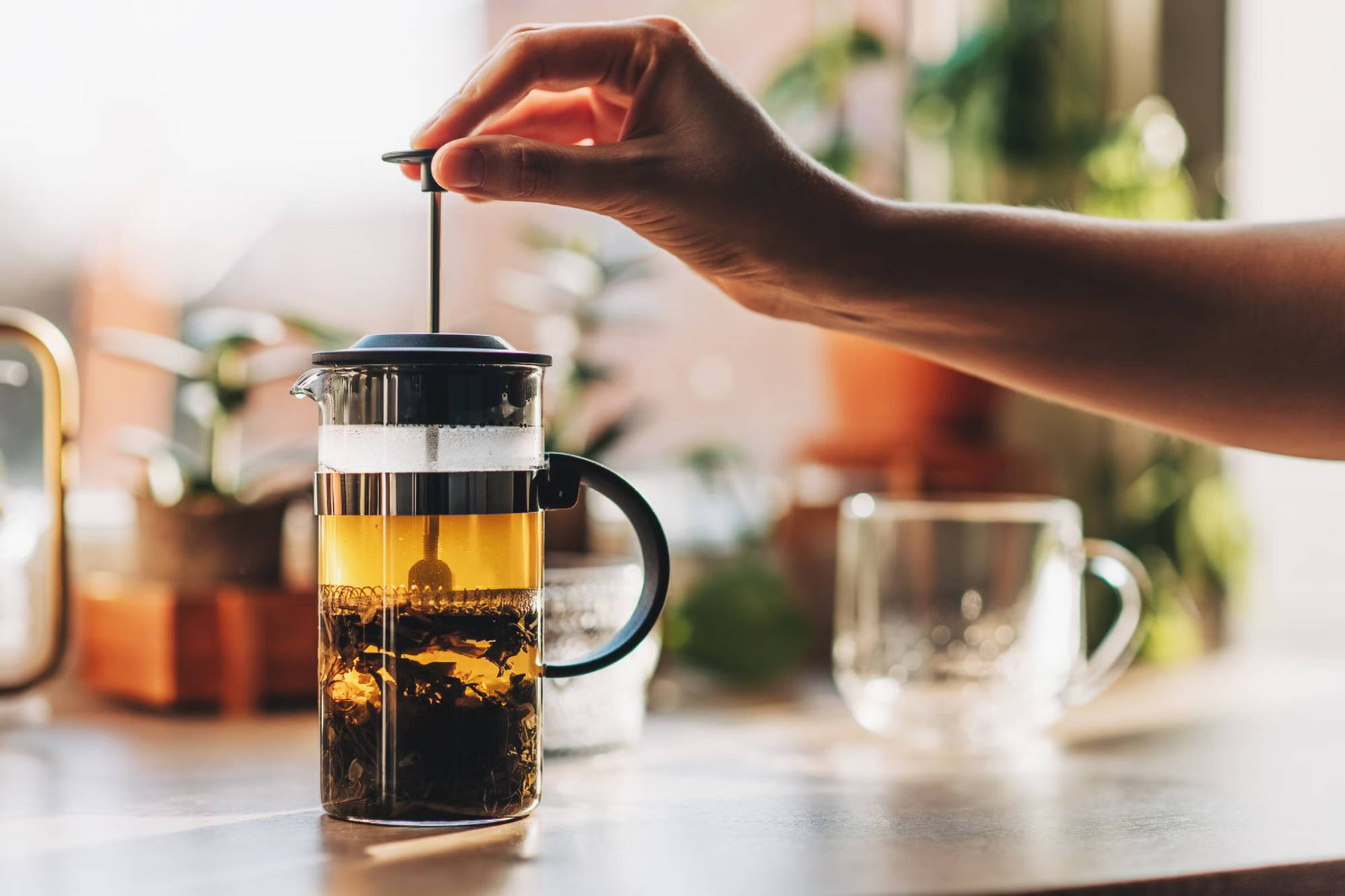 Eine Hand drückt eine French Press mit Tee herunter. 