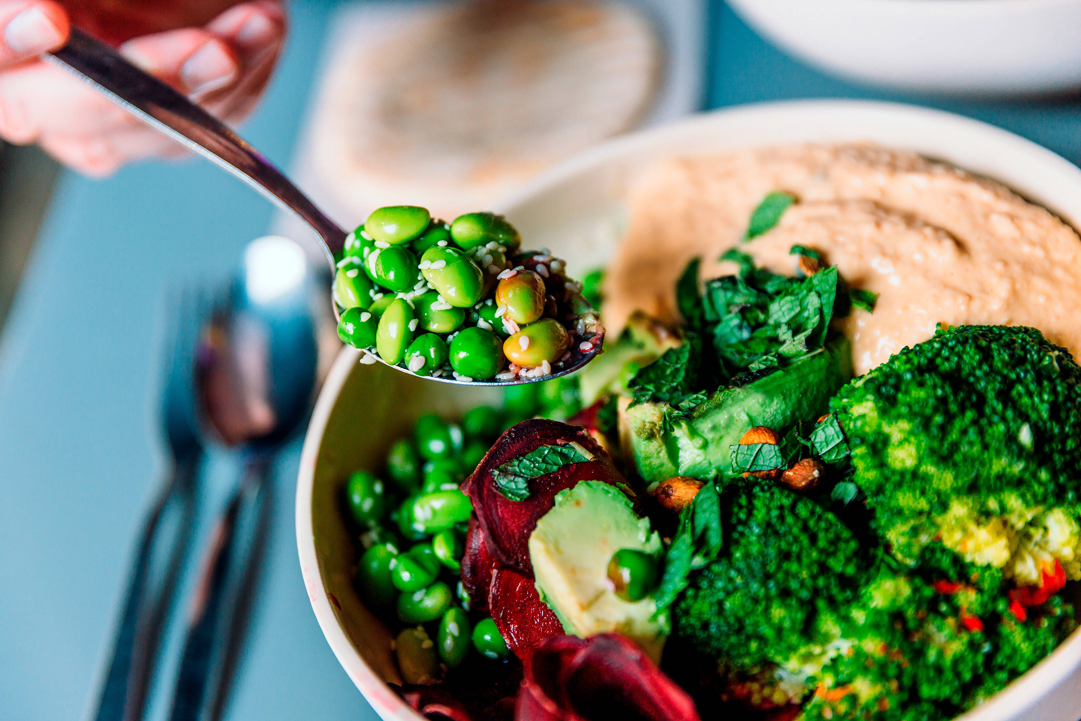 Vegane Bowl mit Edamame Bohnen, Broccoli, Avocado, Rote Beete, Hummus und Nüssen.